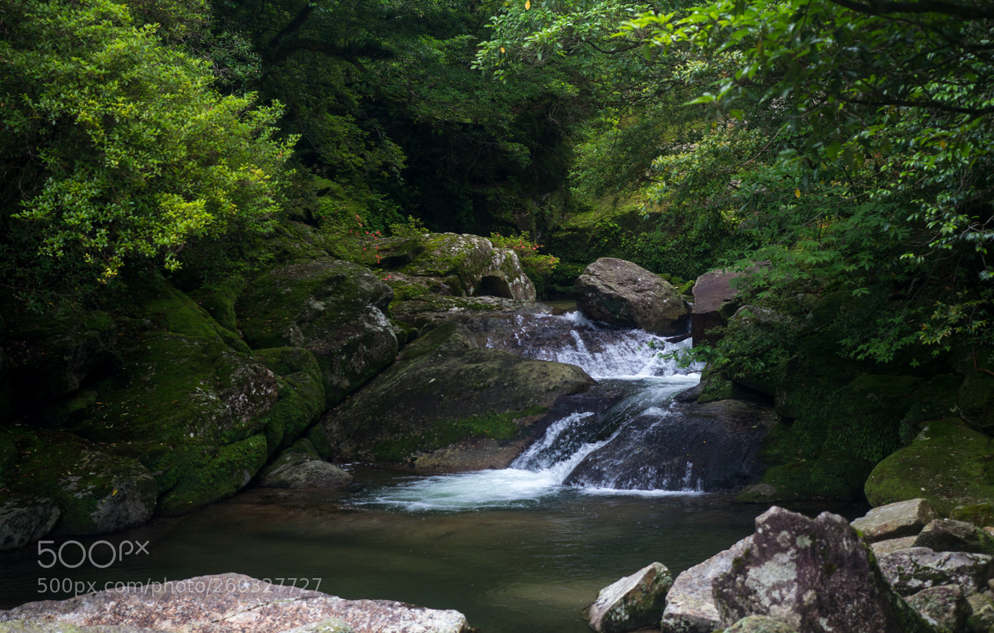 Canon EOS 60D sample photo. Img photography