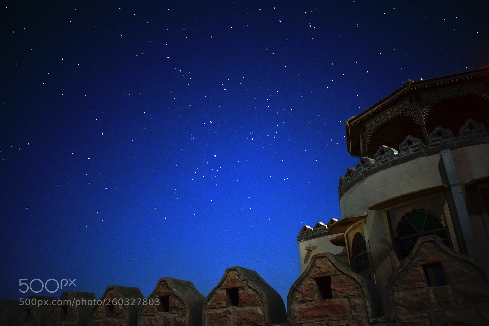 Nikon D5300 sample photo. Shining in the moonlight photography