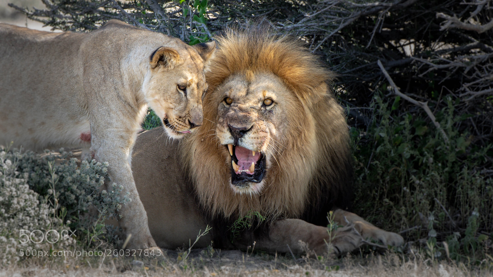 Pentax K-3 II sample photo. Marital conflict photography