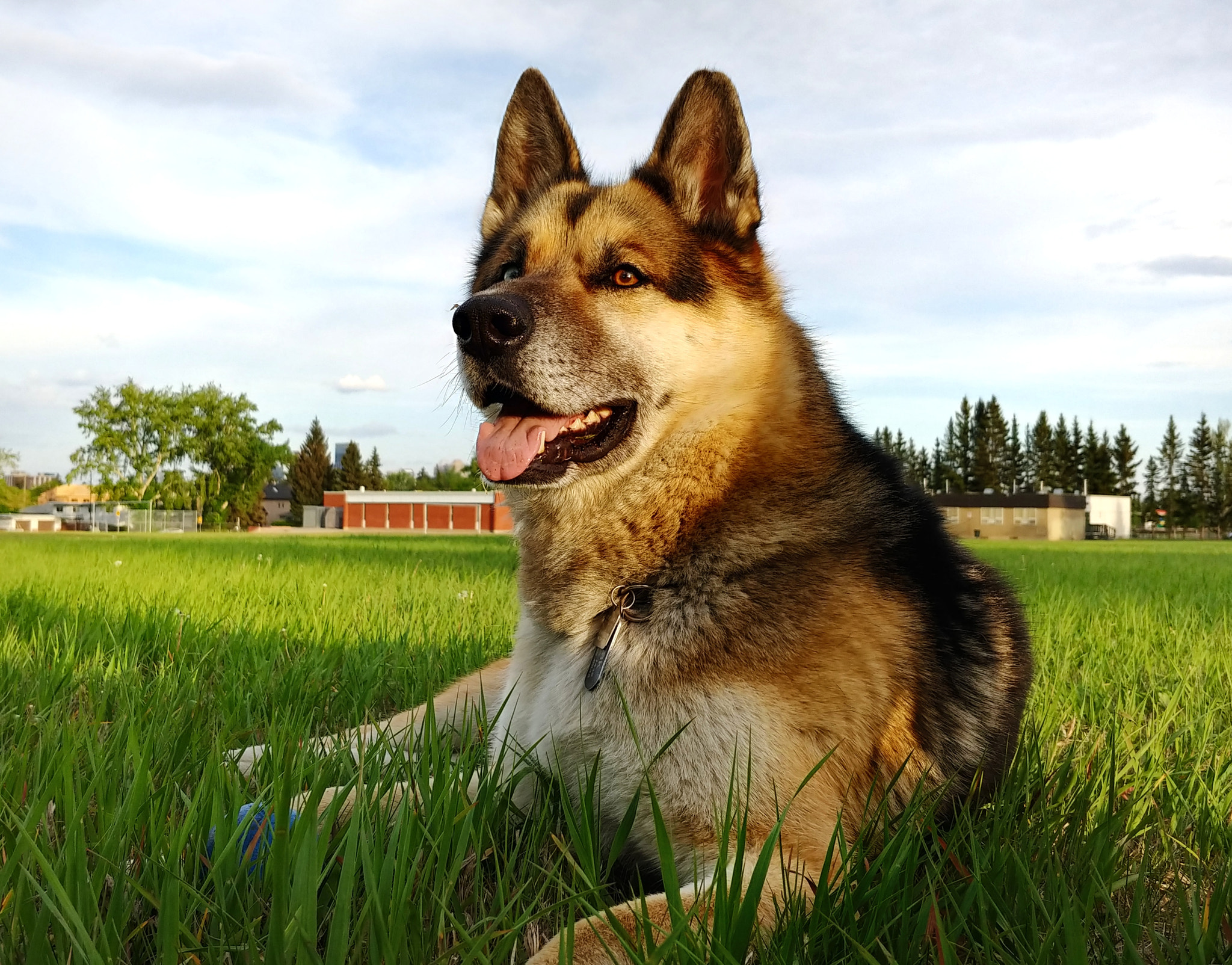 LG V30 sample photo