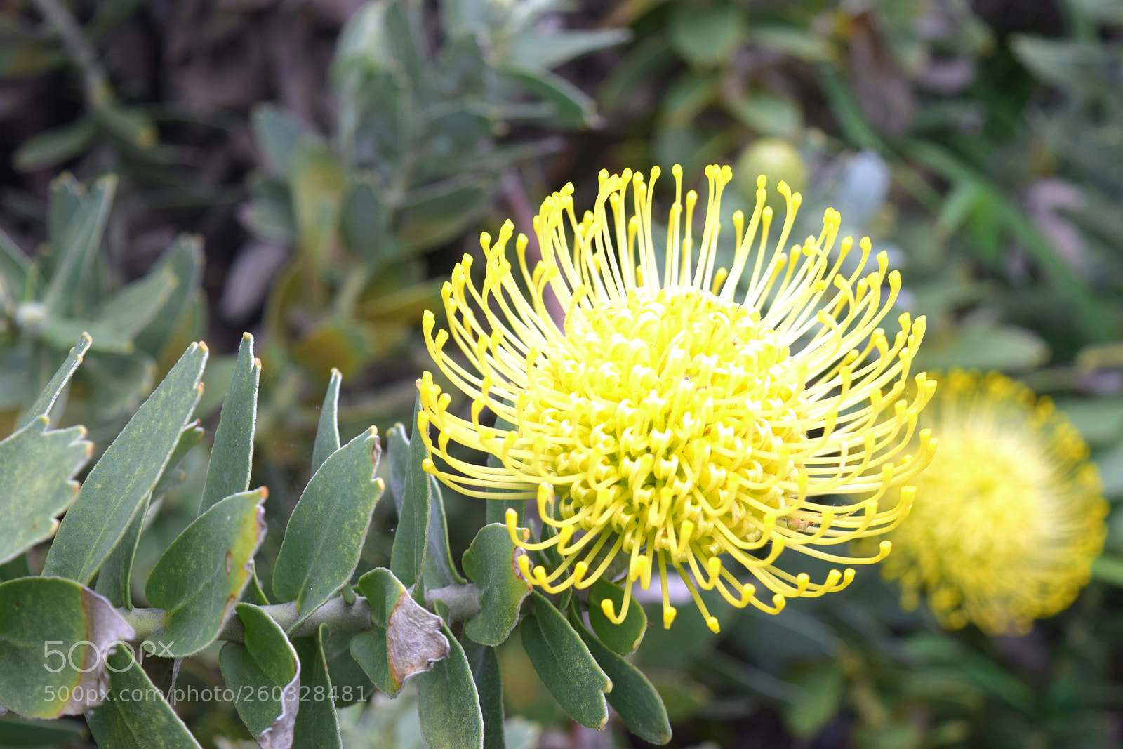 Nikon D3300 sample photo. 20170421_220751.jpg photography