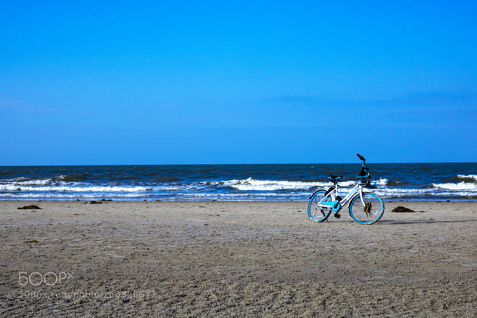 Canon EOS 760D (EOS Rebel T6s / EOS 8000D) sample photo. Img photography