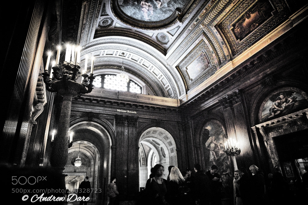 Nikon D810 sample photo. New york public library photography