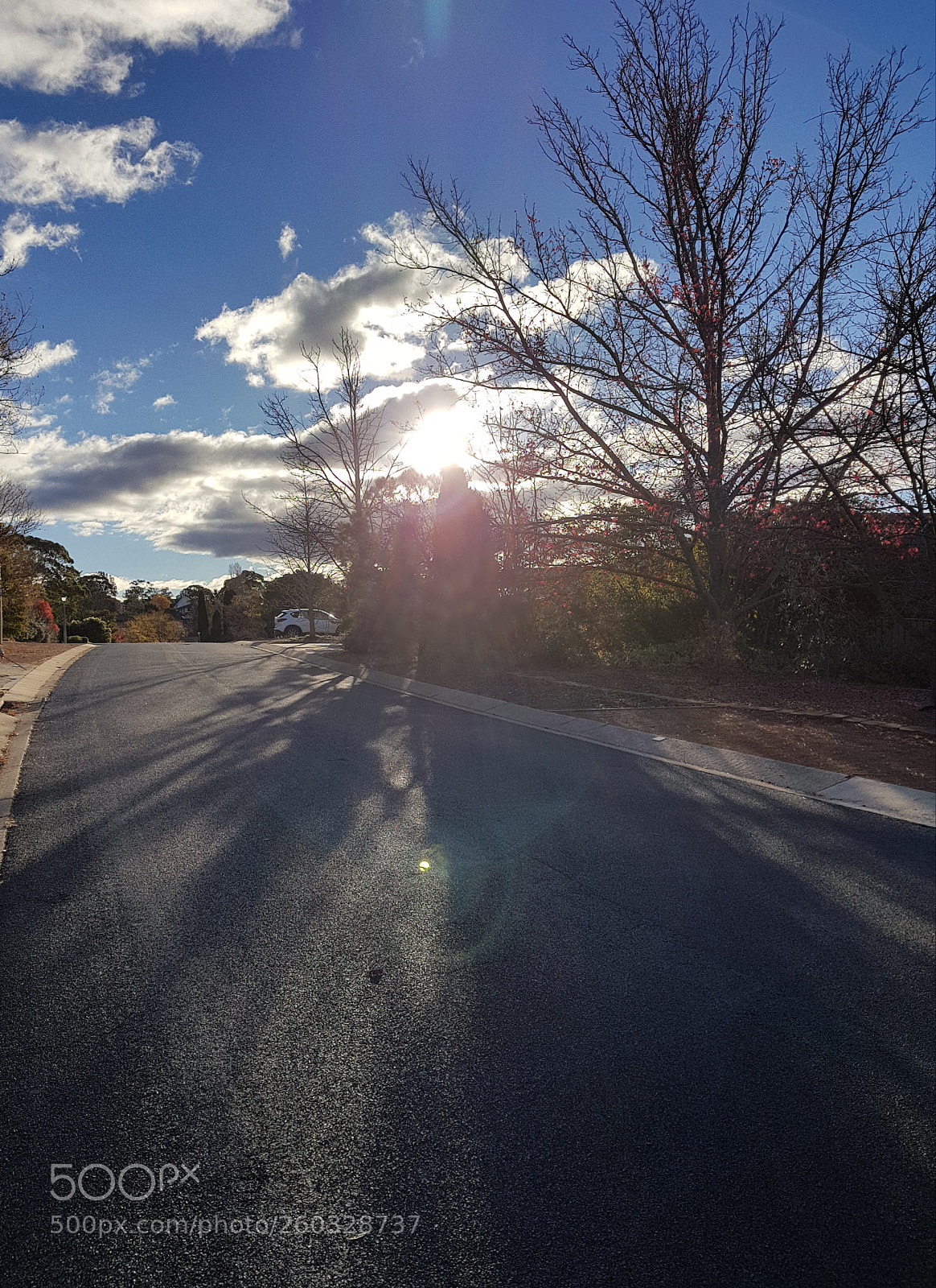 Samsung Galaxy S8+ sample photo. Winter afternoon. photography