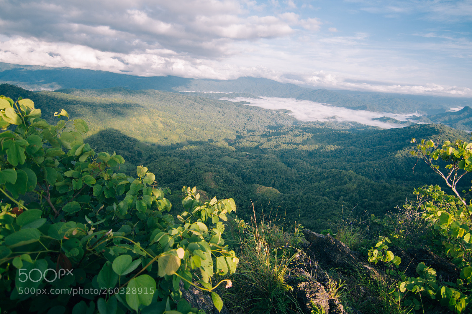 Canon EOS 700D (EOS Rebel T5i / EOS Kiss X7i) sample photo. Mountains and fog photography