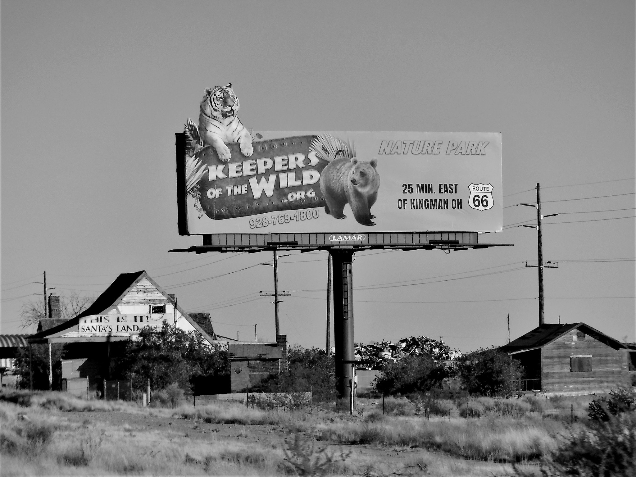 Fujifilm FinePix XP90 XP91 XP95 sample photo. Wild meeting on the road photography