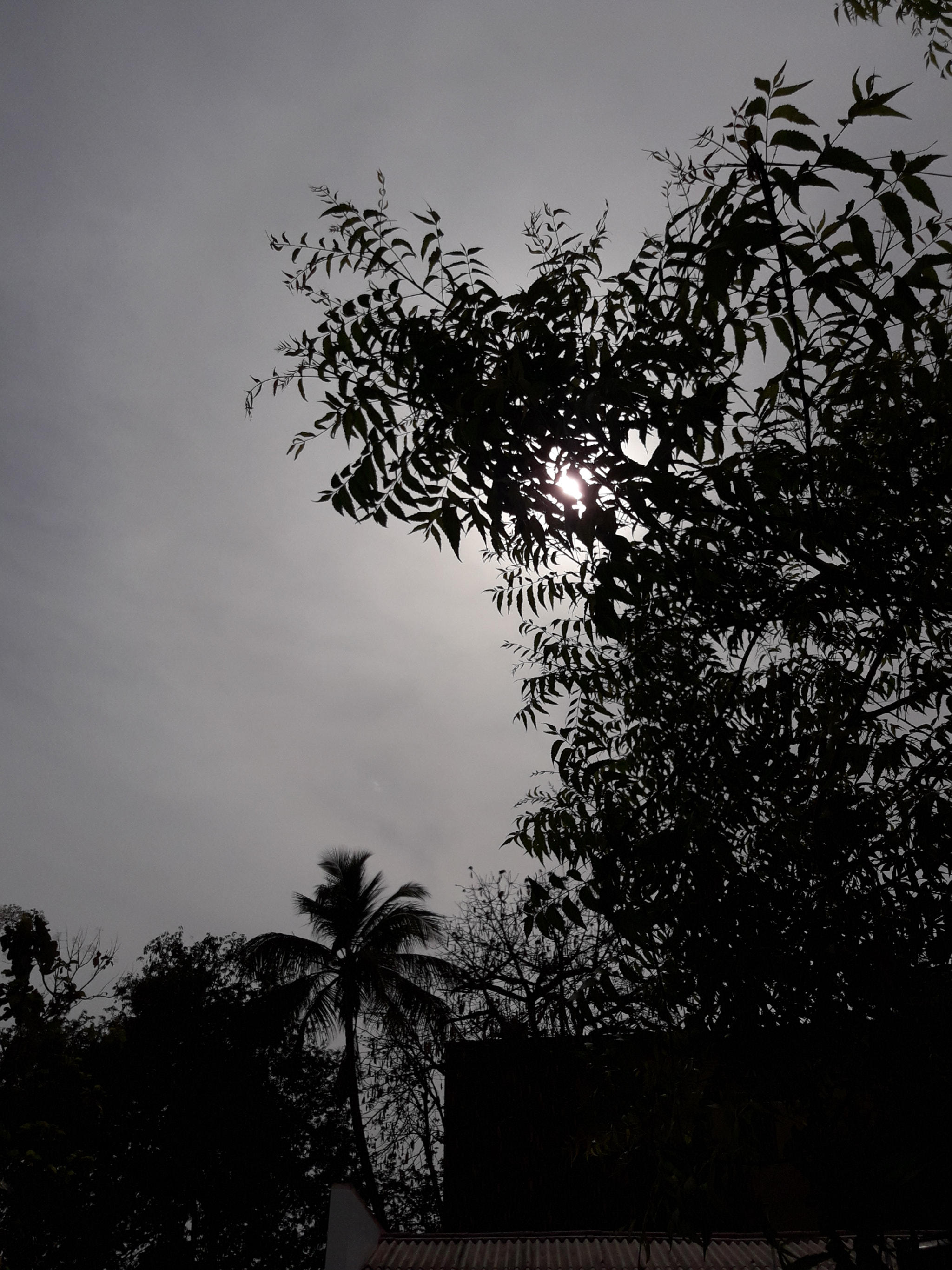 Samsung Galaxy J7 Neo sample photo