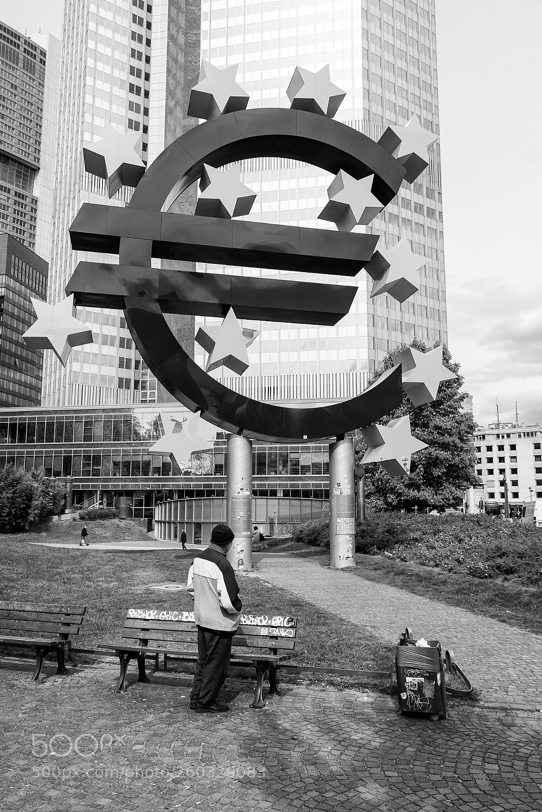 Nikon D610 sample photo. A gray future awaits photography