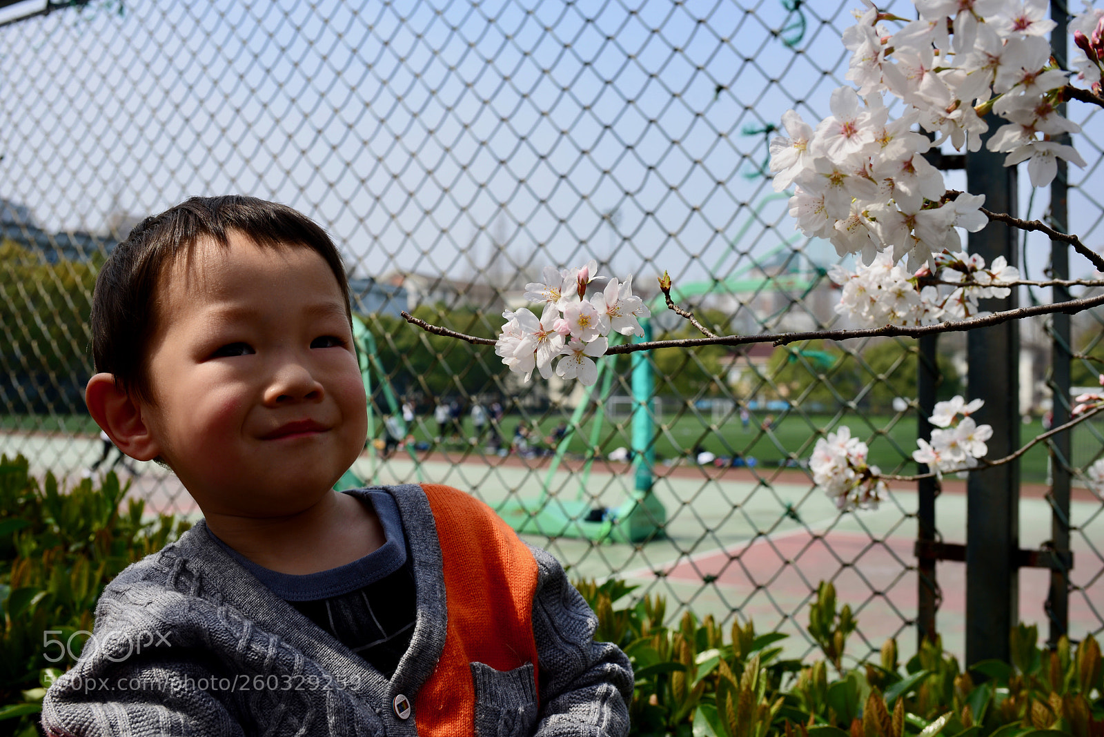 Nikon D610 sample photo. 六一快乐 photography