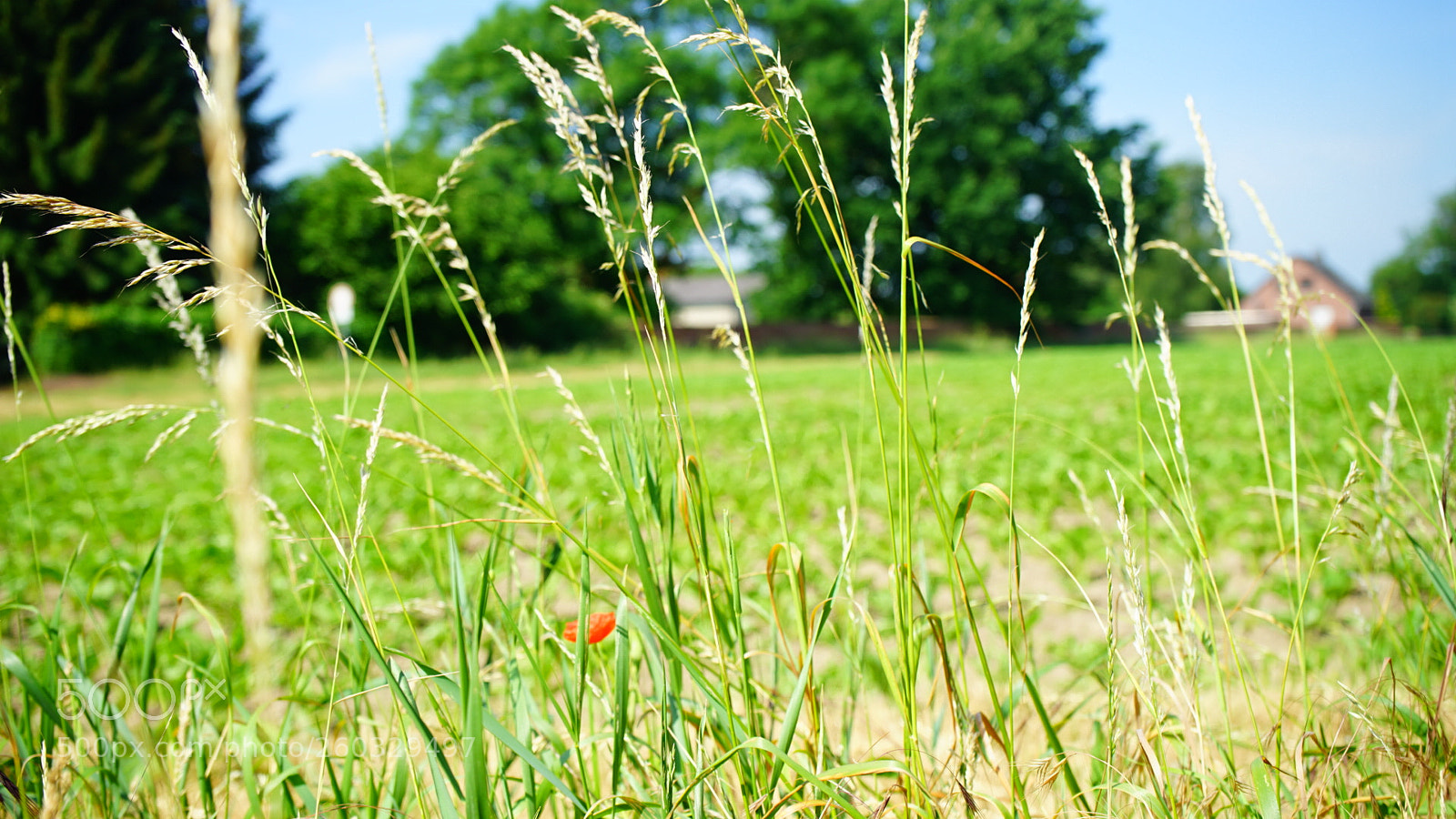 Sony a7 II sample photo. Lost in hannover photography