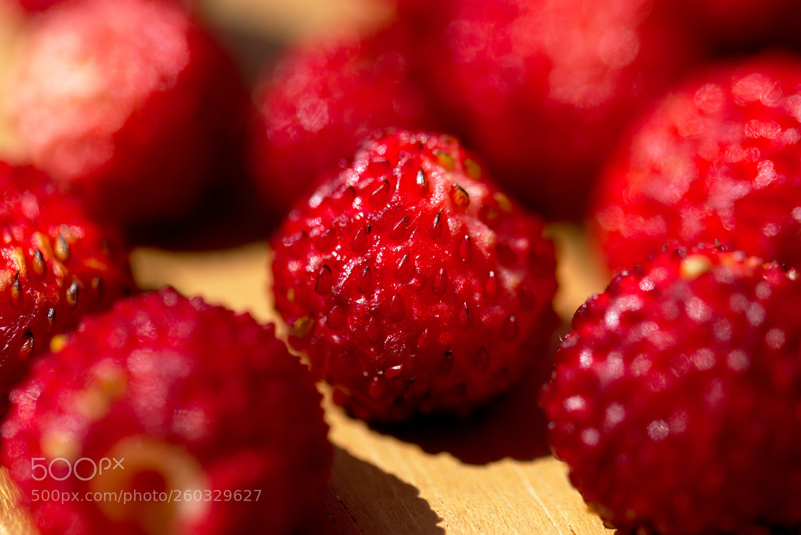 Nikon D7200 sample photo. Walderdbeere photography