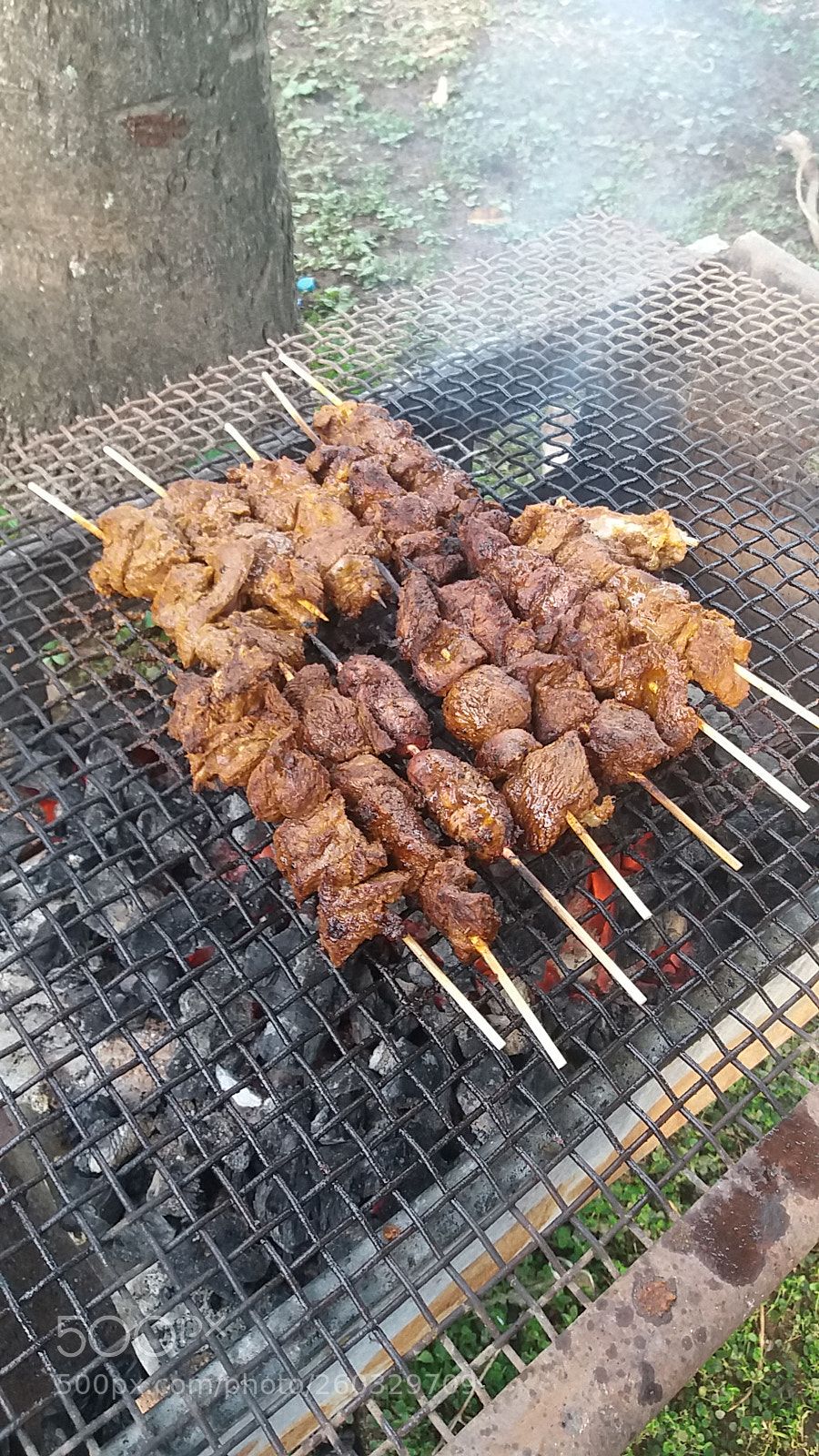 Samsung Galaxy J5 sample photo. Suya photography