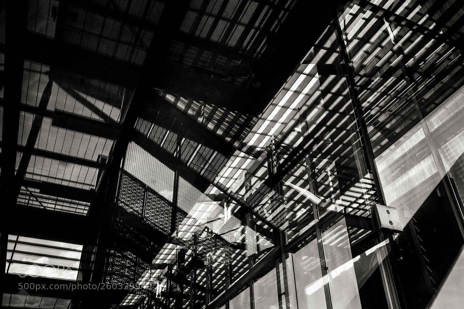Nikon D7100 sample photo. Deliberately confusing #5 photography