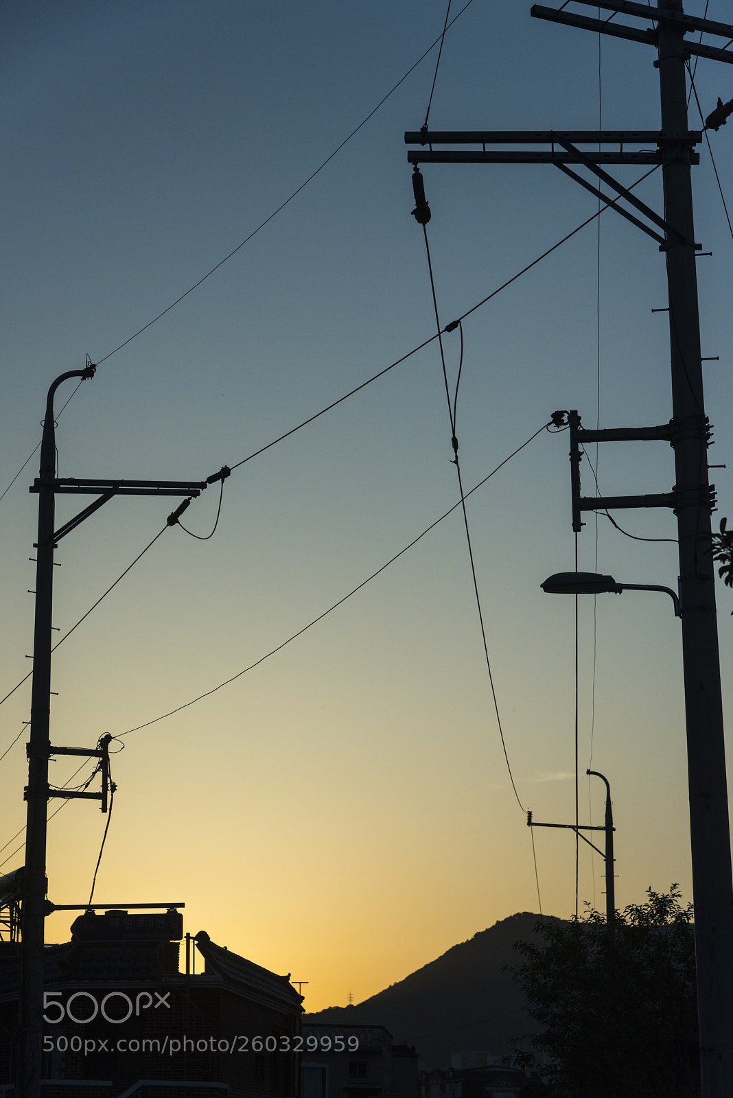 Nikon D810 sample photo. In a town   no.37 photography