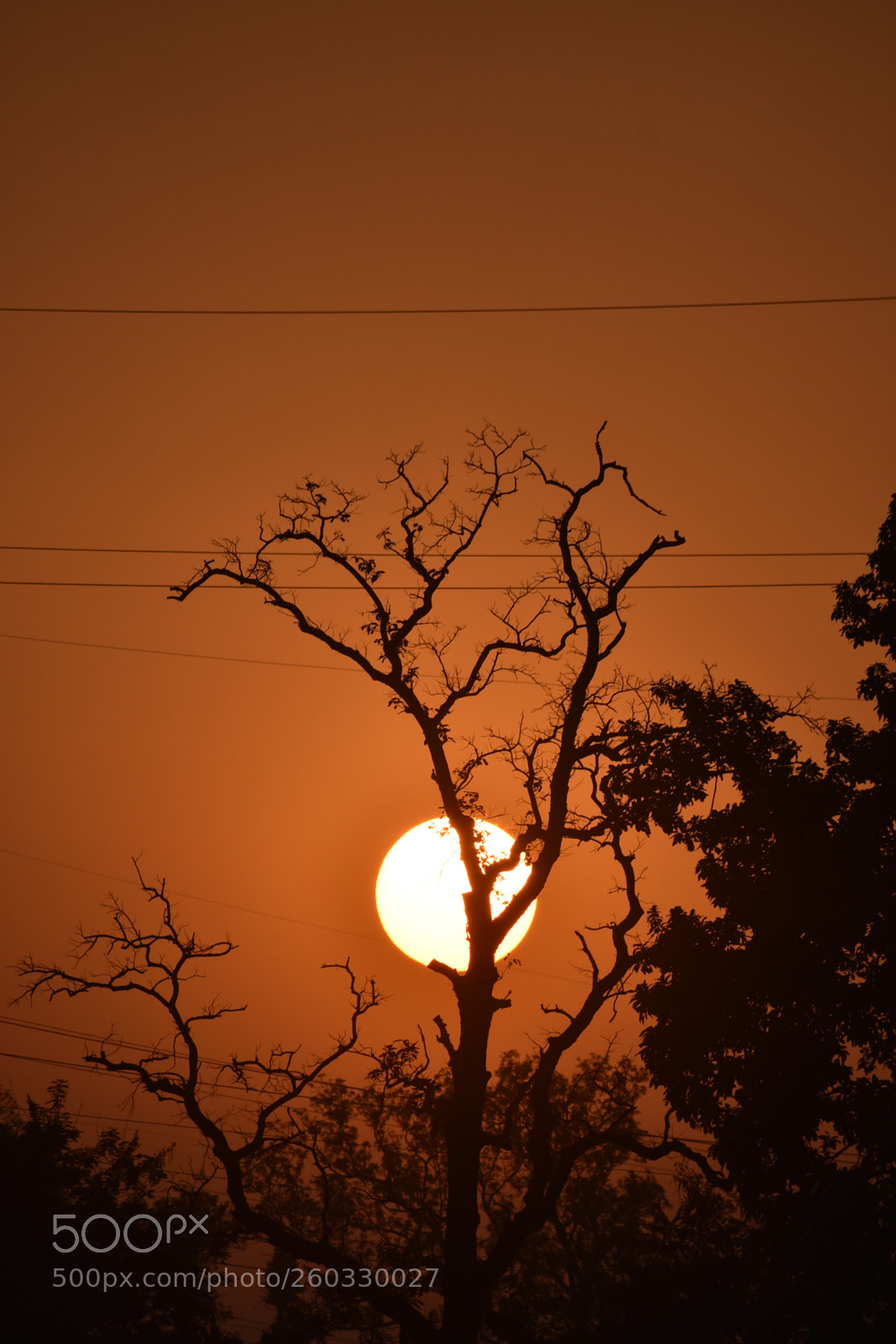 Nikon D3400 sample photo. Sun seat photography