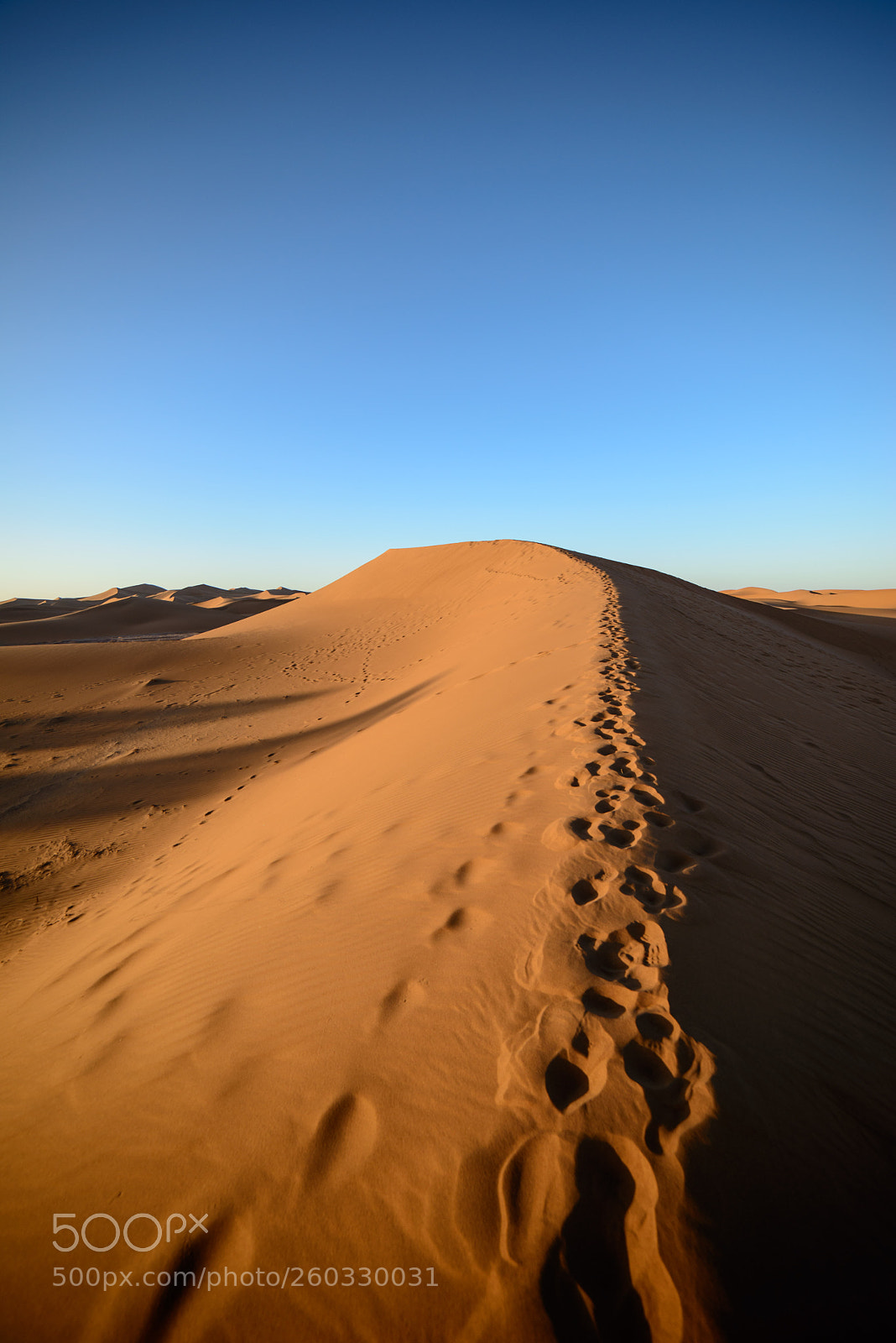 Nikon D800 sample photo. Morning shadows photography