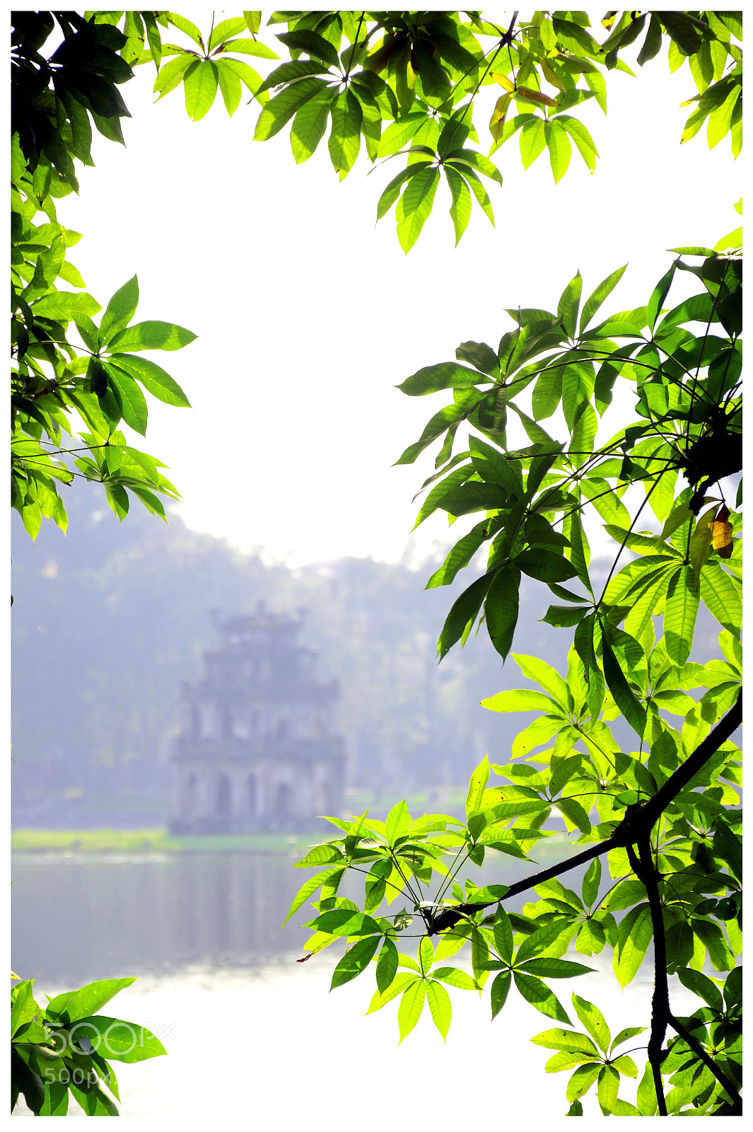 Nikon D7000 sample photo. Edit photography
