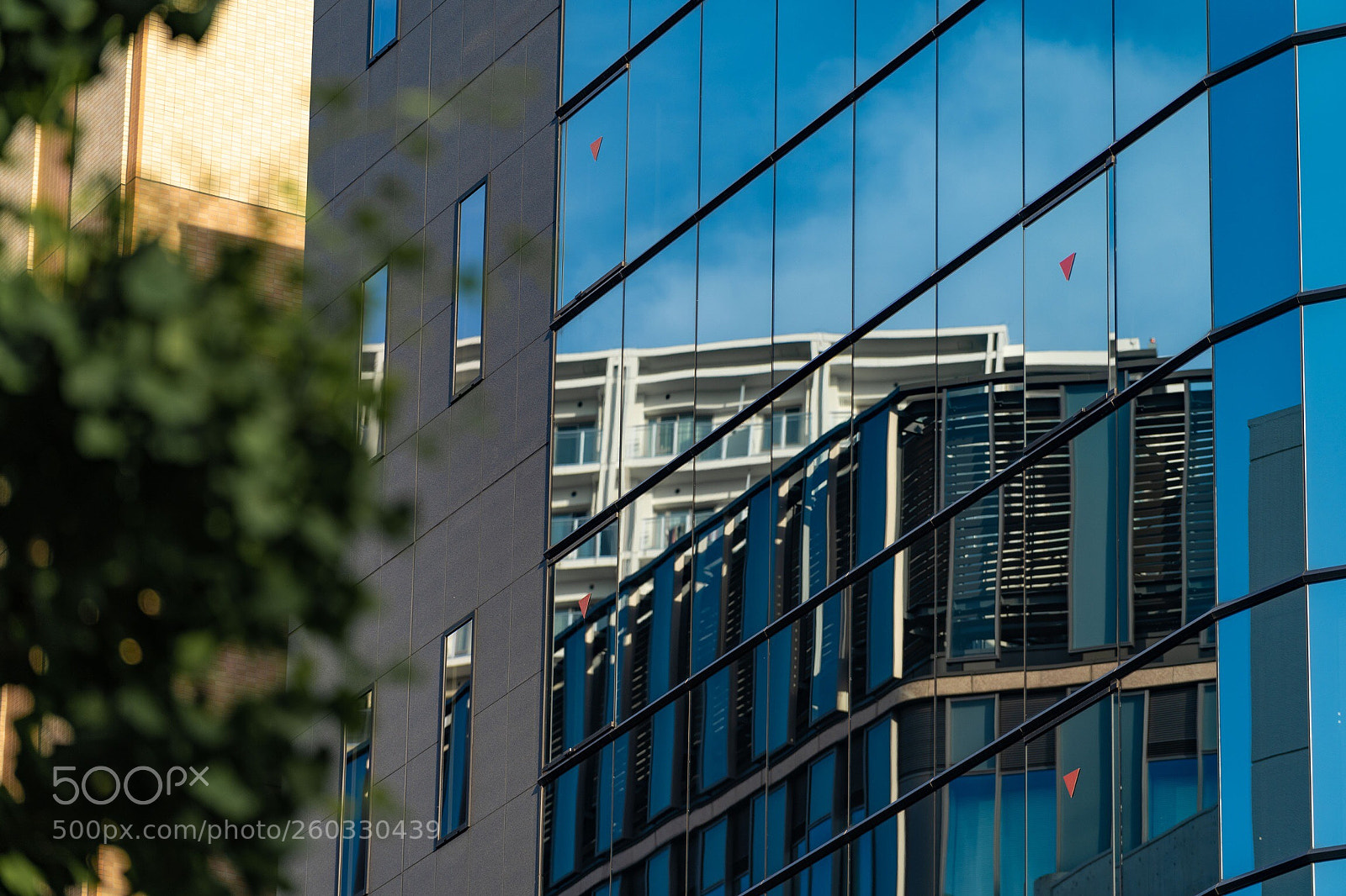 Sony a7 III sample photo. Untitled photography