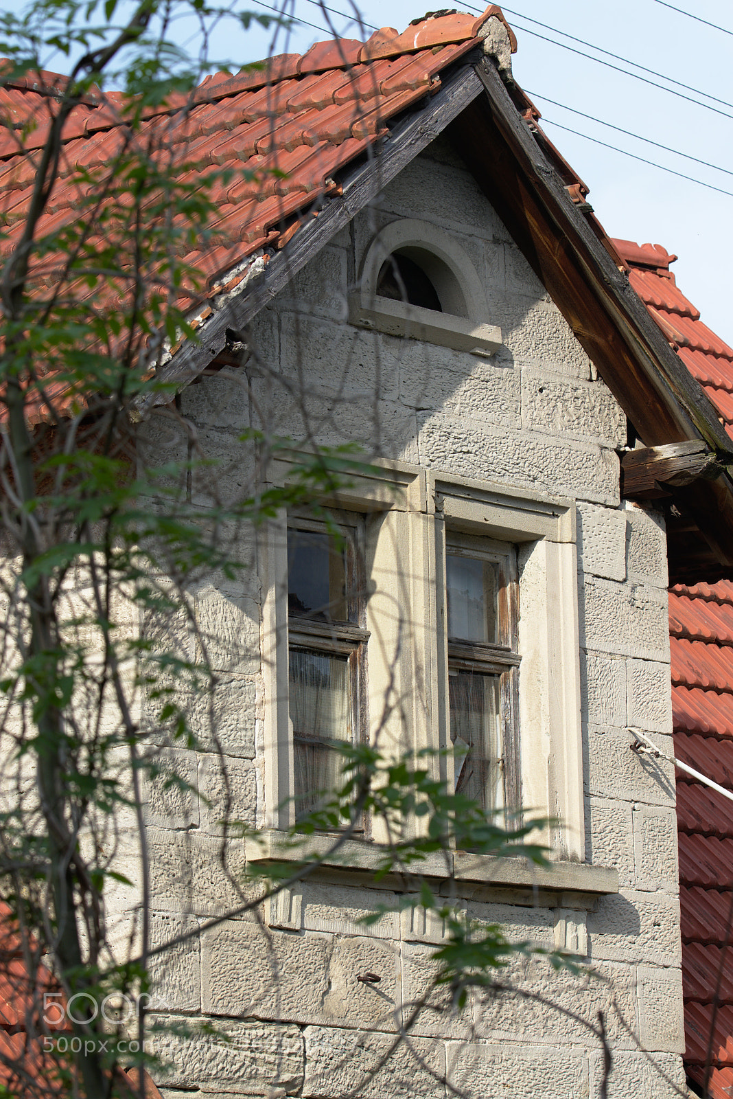Nikon D7200 sample photo. Dachgaube photography