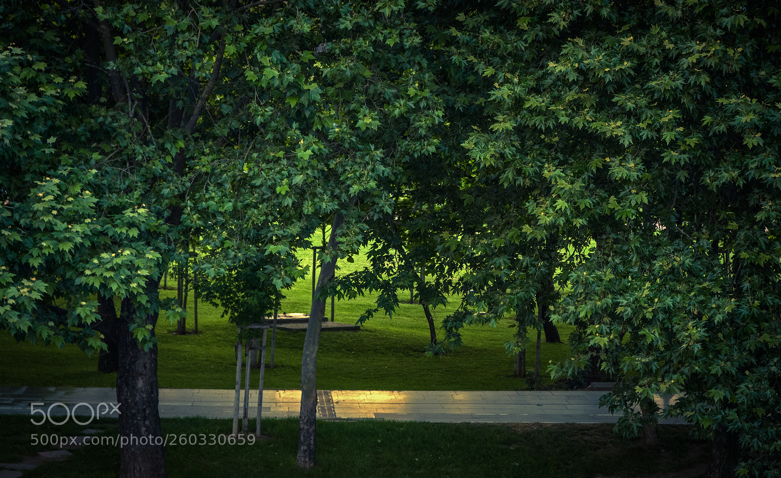 Nikon D7200 sample photo. Park photography