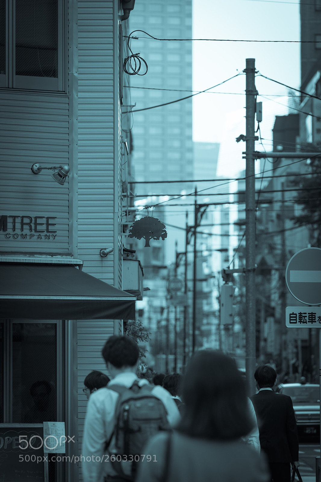 Sony a7 III sample photo. Untitled photography