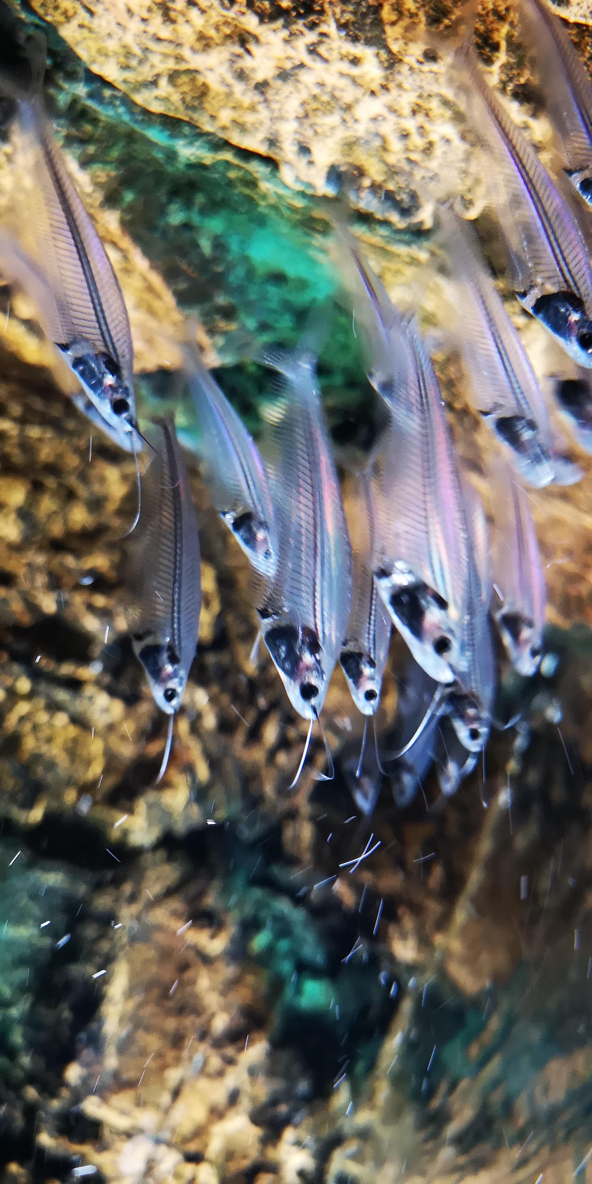 HUAWEI P20 Pro sample photo