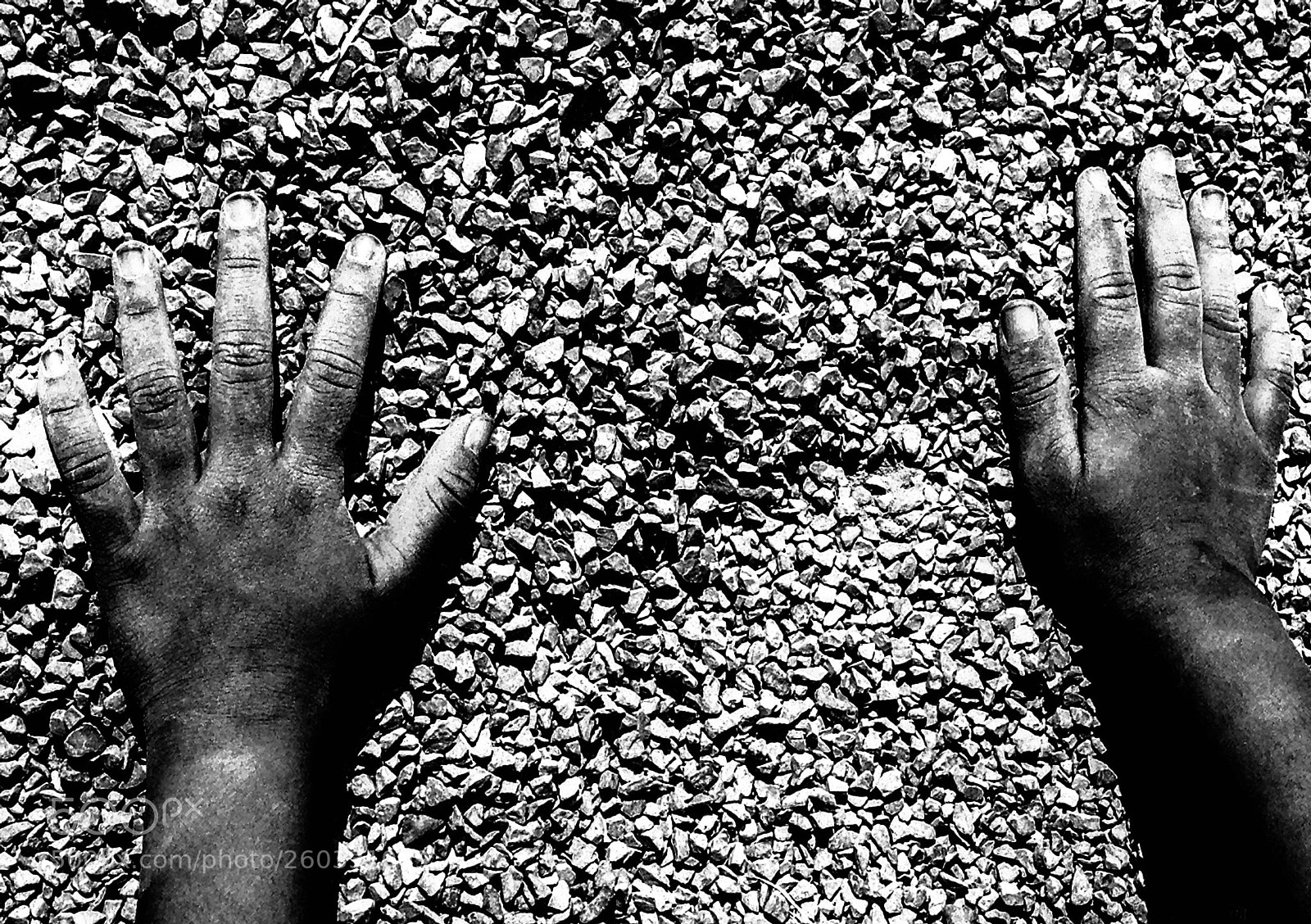 Apple iPhone 5 sample photo. Roun b&w () photography