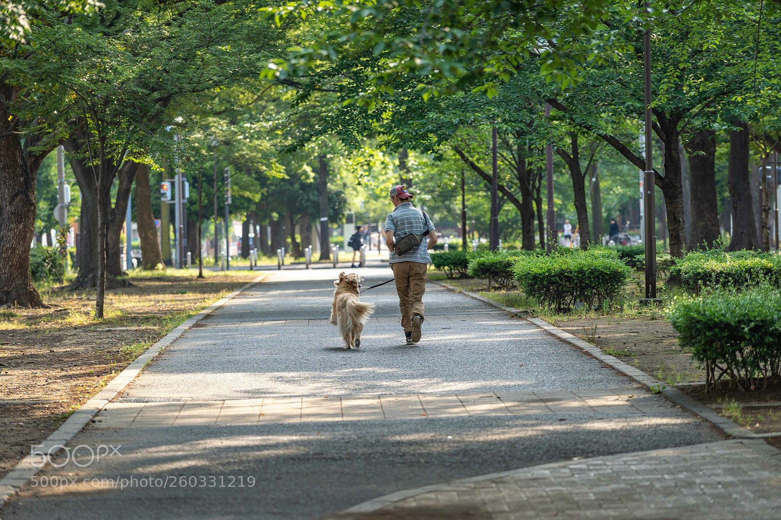 Sony a7 III sample photo. Untitled photography