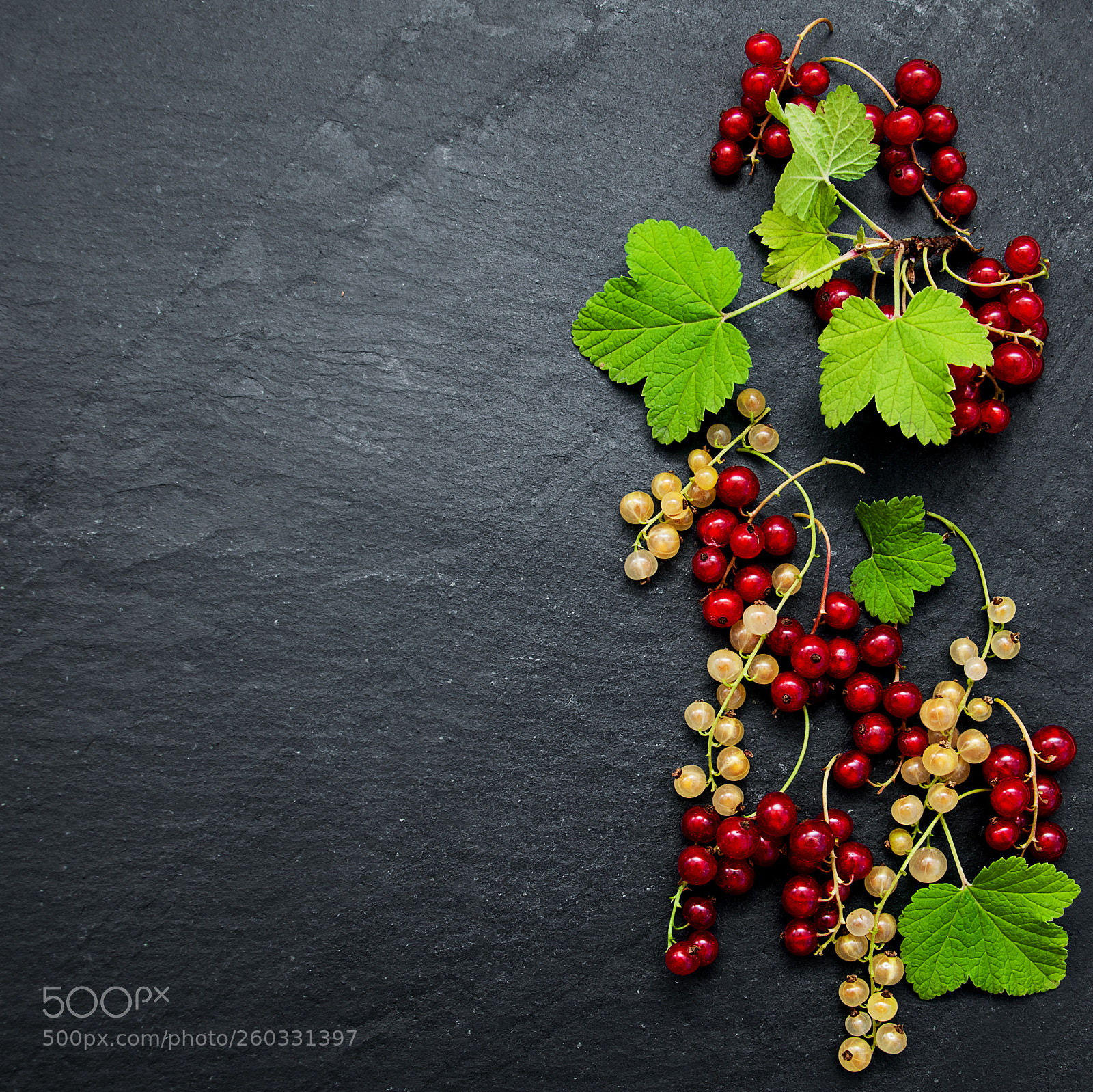 Nikon D90 sample photo. Red currant with leaves photography