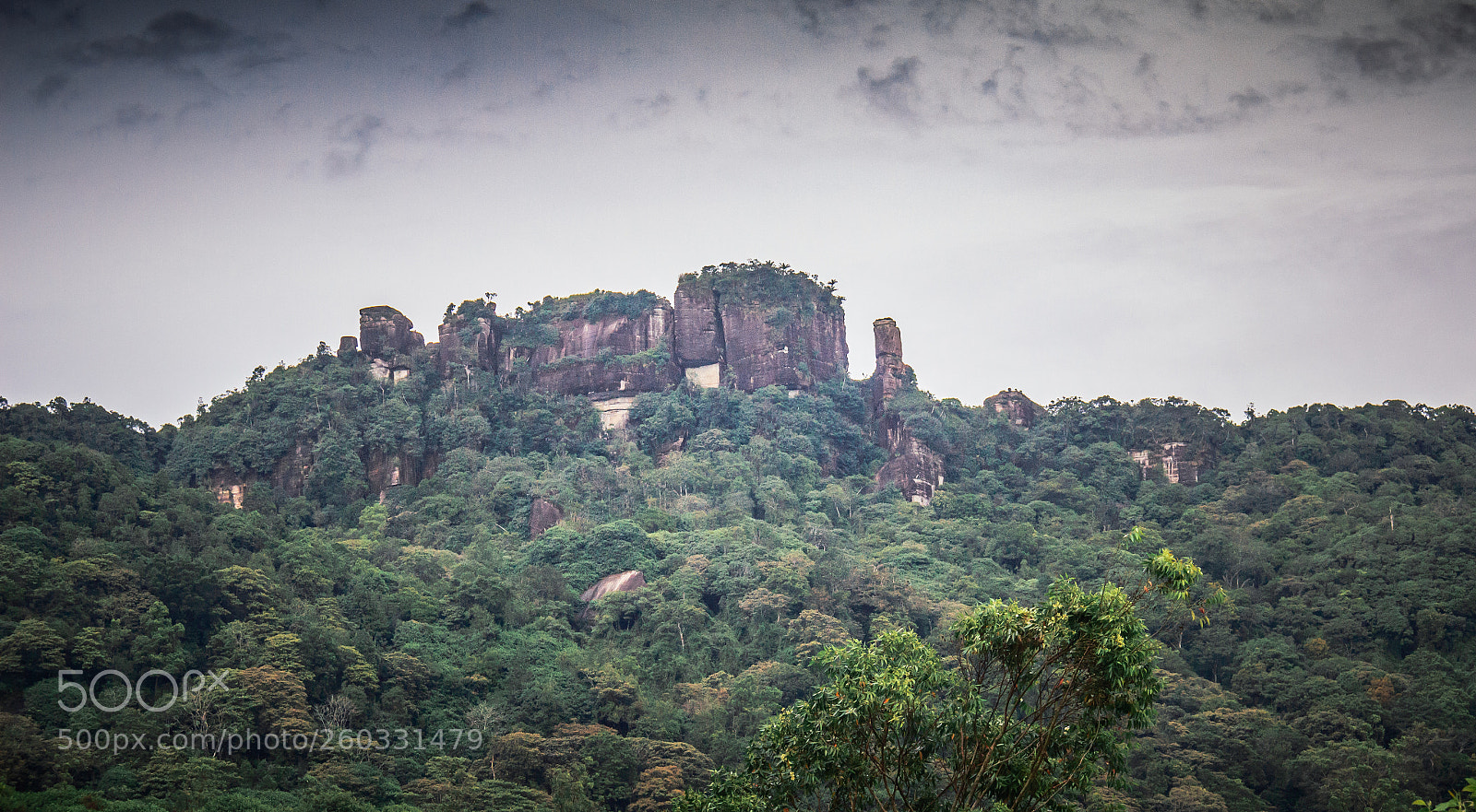 Canon EOS 600D (Rebel EOS T3i / EOS Kiss X5) sample photo. Rakshagala, sri lanka photography