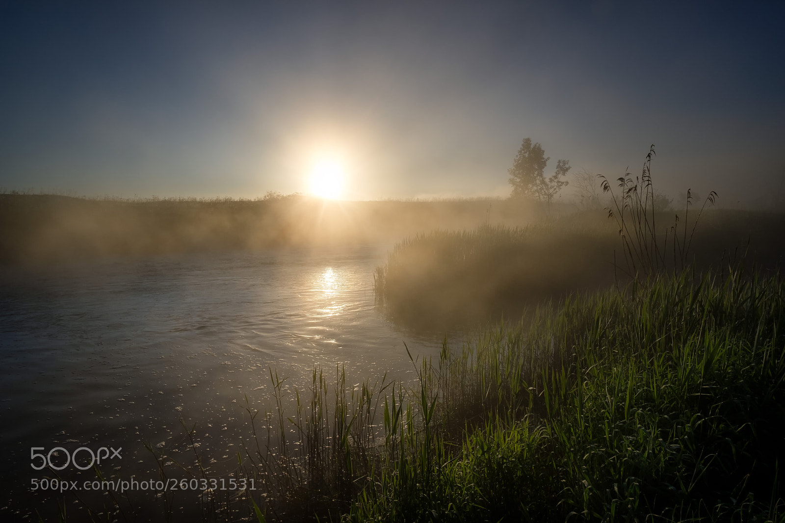 Fujifilm X-H1 sample photo. The mist melts photography