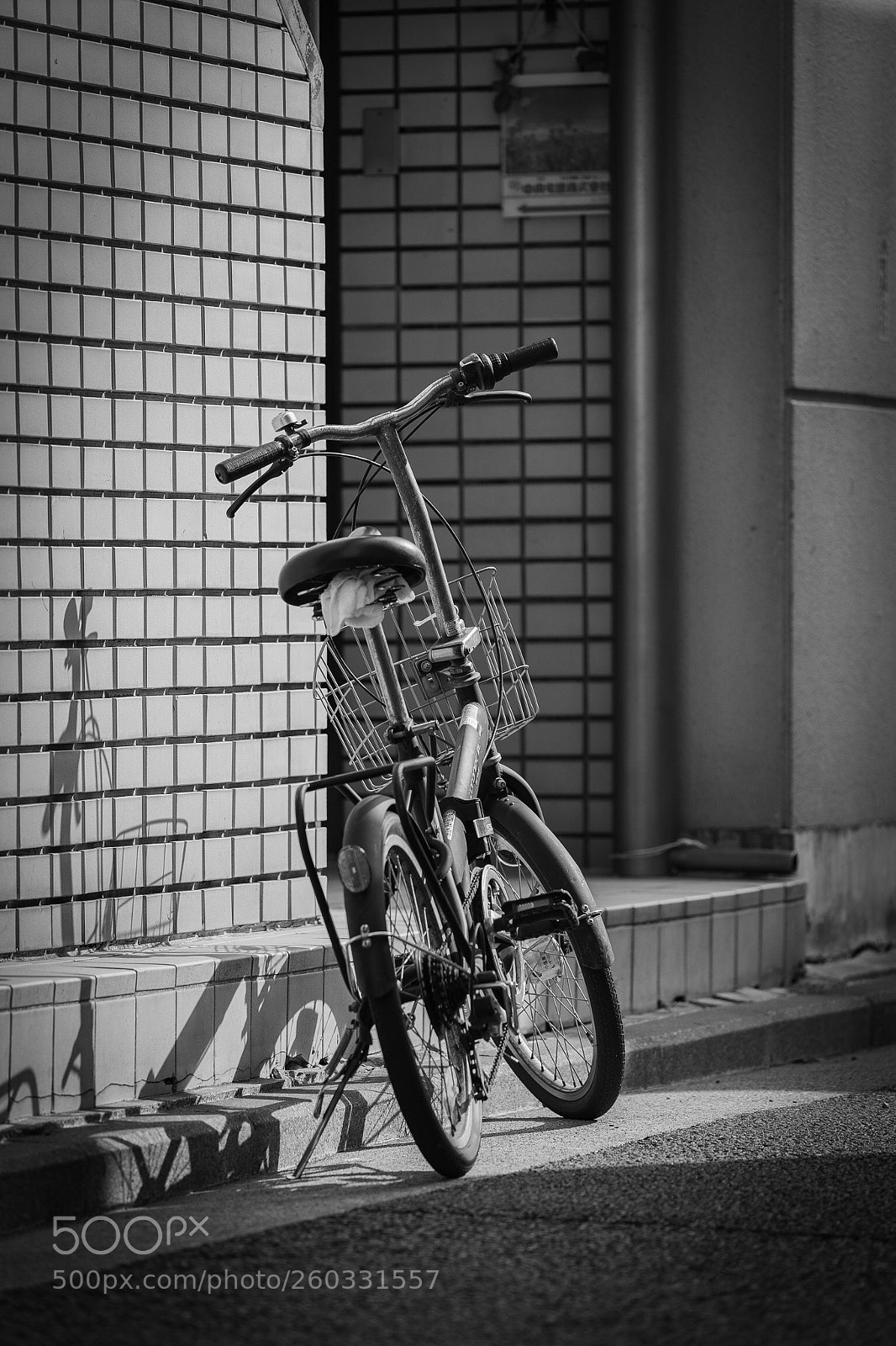 Sony a7 III sample photo. Untitled photography