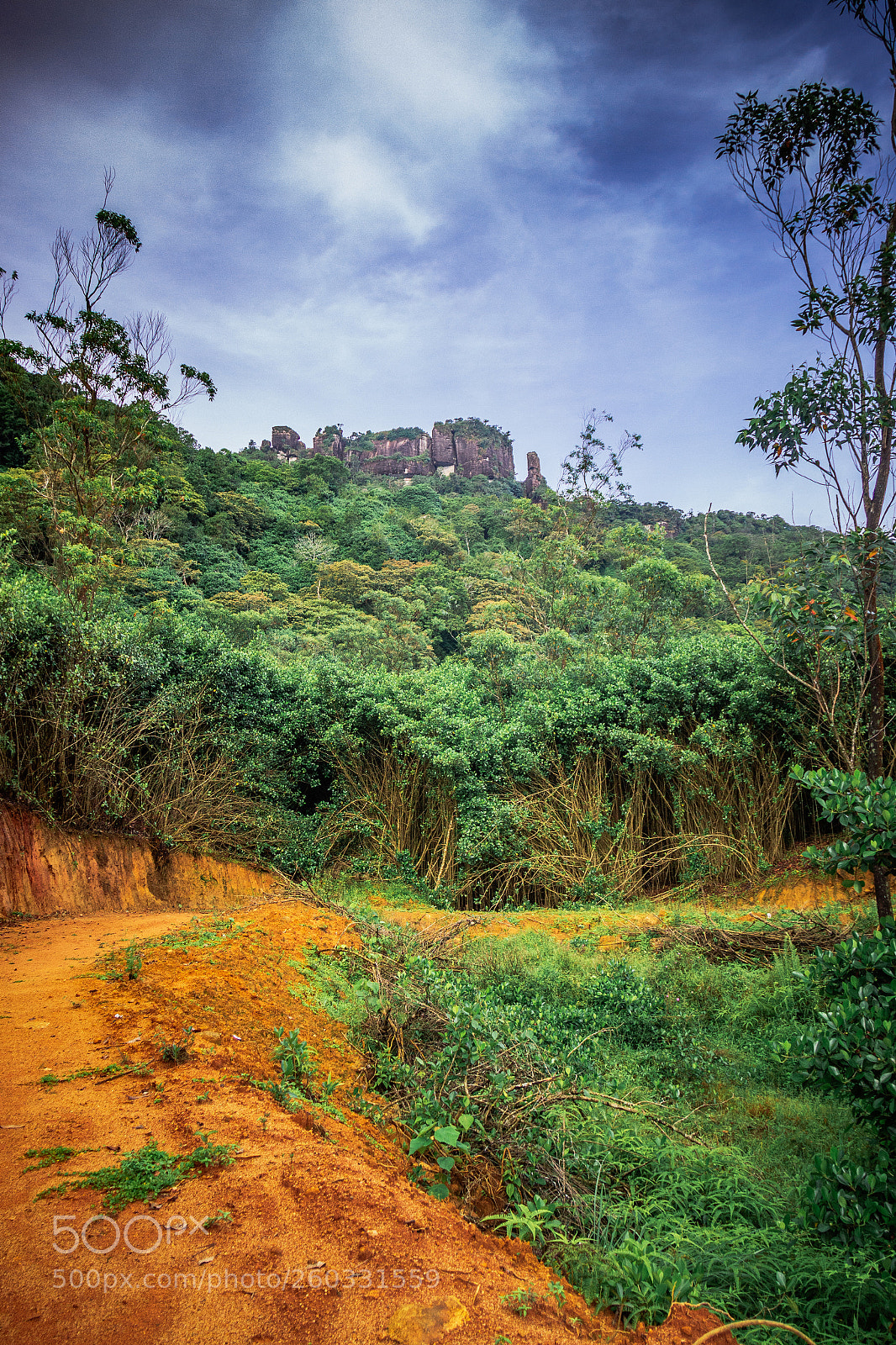 Canon EOS 600D (Rebel EOS T3i / EOS Kiss X5) sample photo. Rakshagala, sri lanka #4 photography