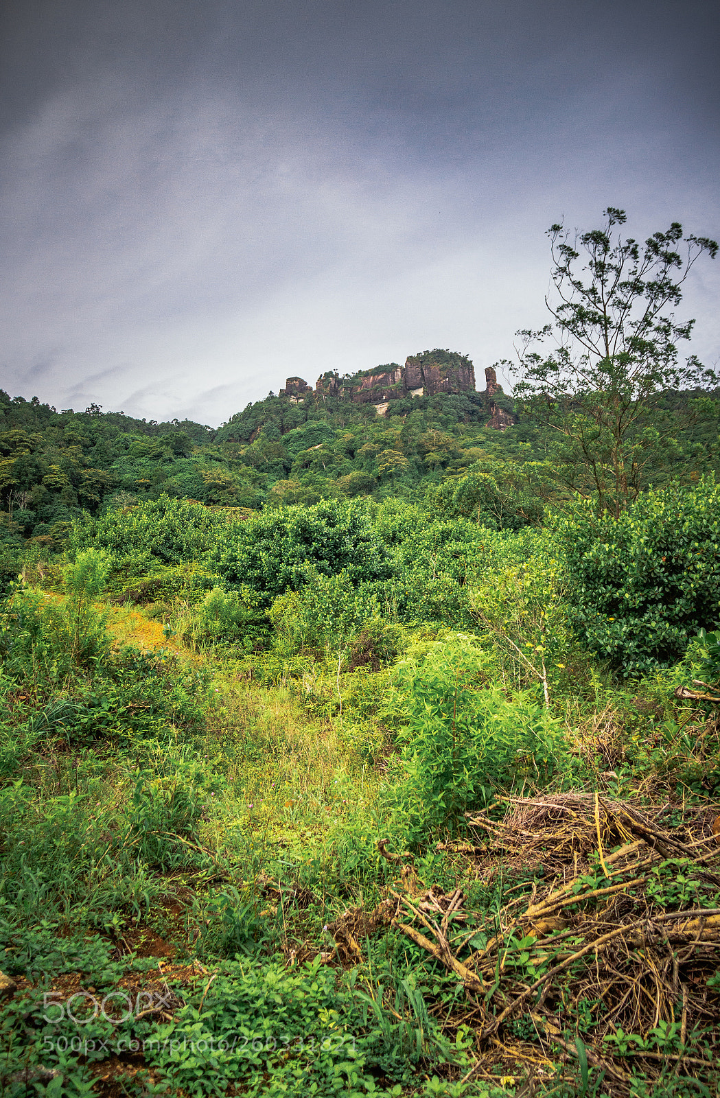 Canon EOS 600D (Rebel EOS T3i / EOS Kiss X5) sample photo. Rakshagala, sri lanka #6 photography
