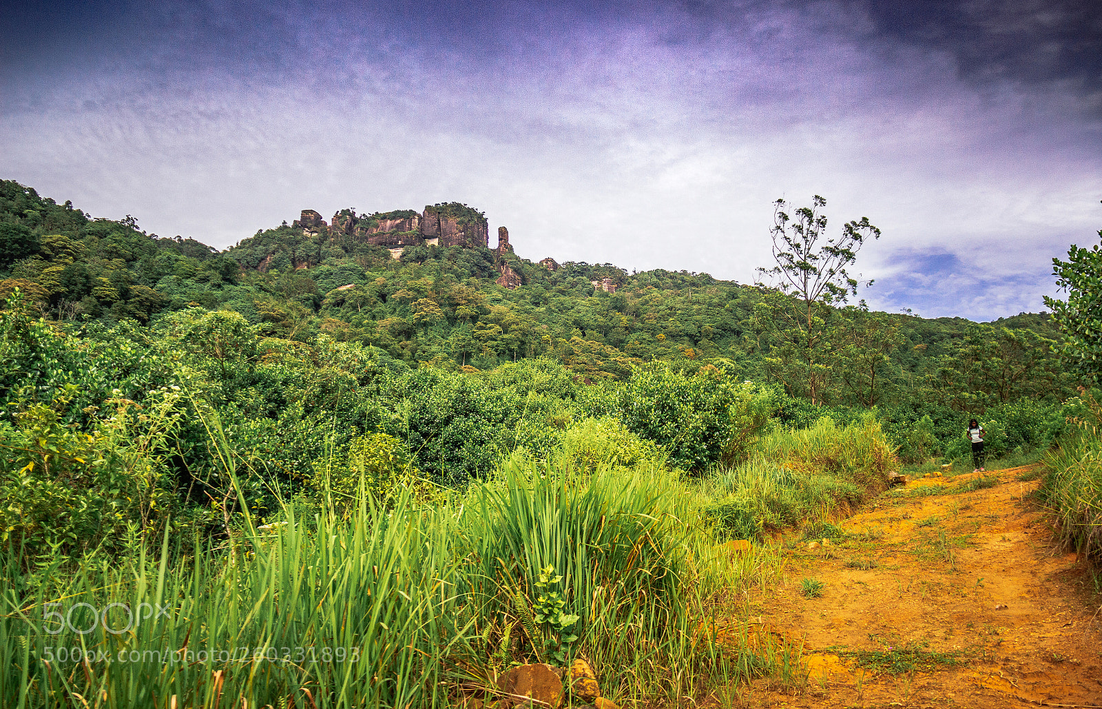 Canon EOS 600D (Rebel EOS T3i / EOS Kiss X5) sample photo. Rakshagala, sri lanka #8 photography