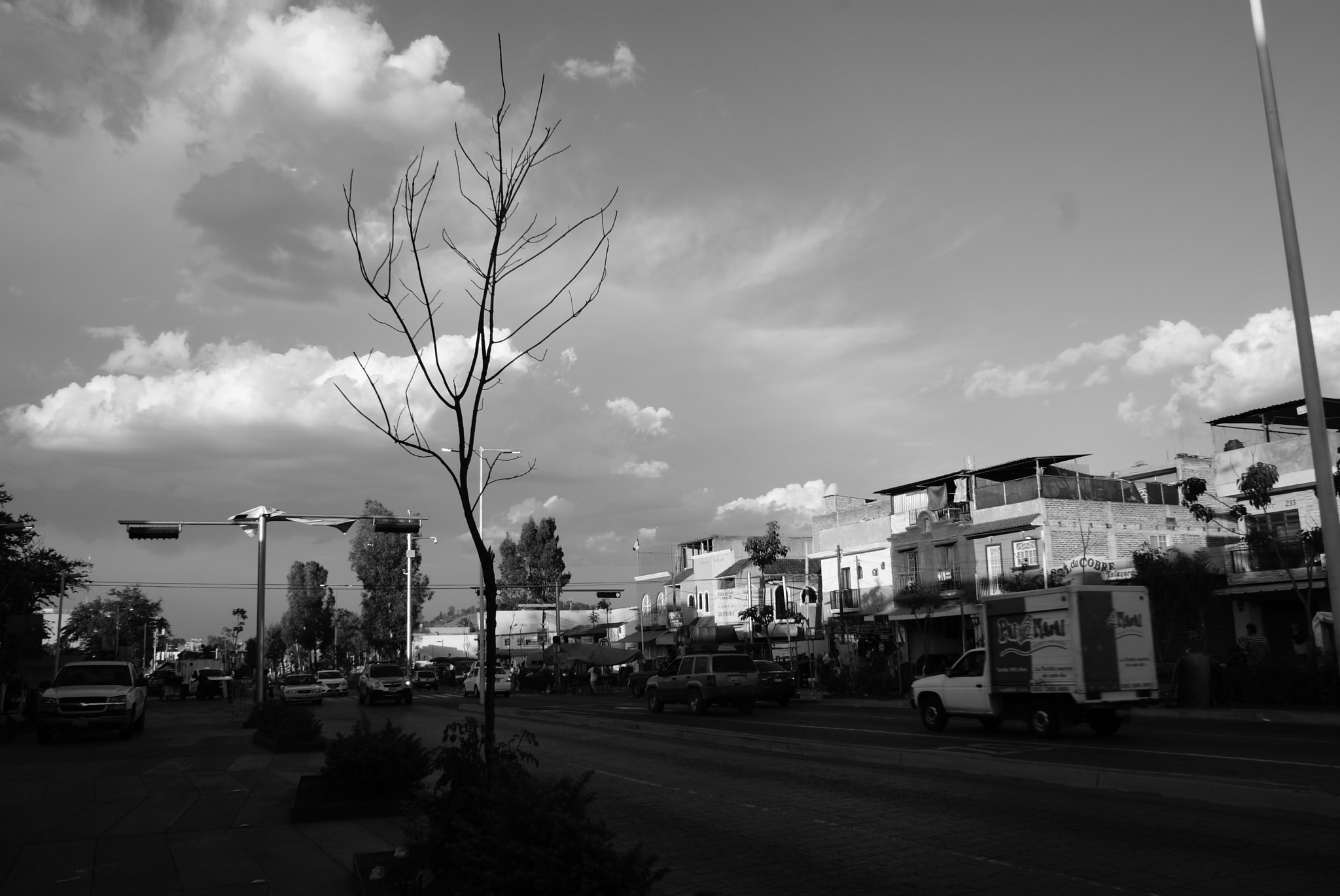 Sony Alpha DSLR-A200 sample photo. Av. tonaltecas photography