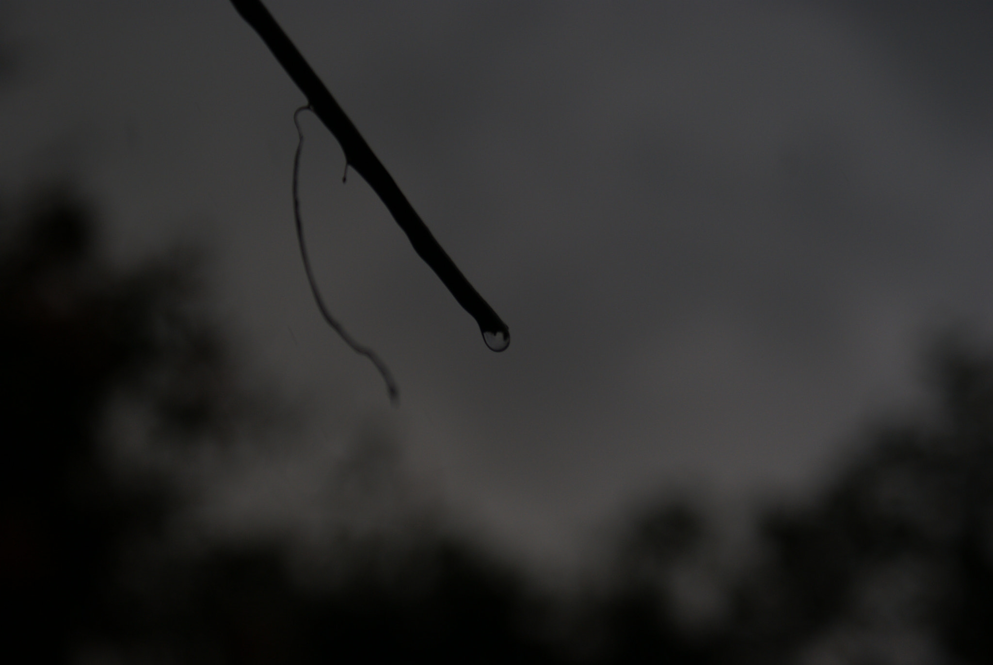 Sony DT 18-70mm F3.5-5.6 sample photo. Dia triste photography