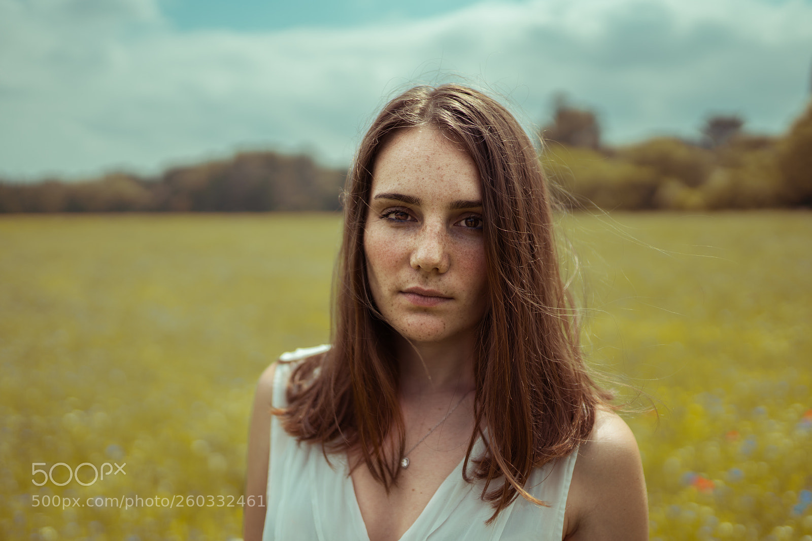 Sony a7R II sample photo. Untitled photography