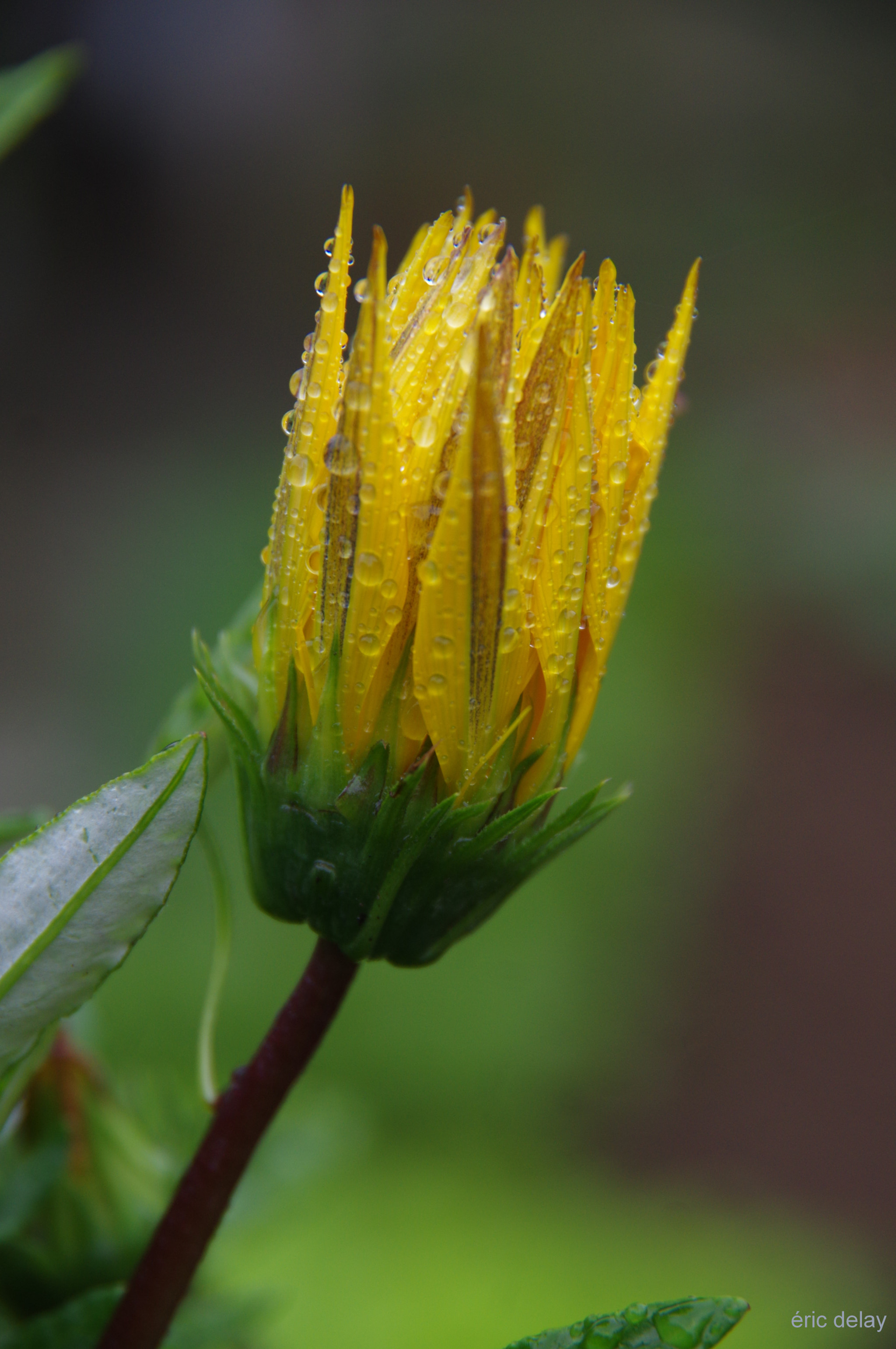 Pentax K-3 sample photo. Where's the sun?! photography
