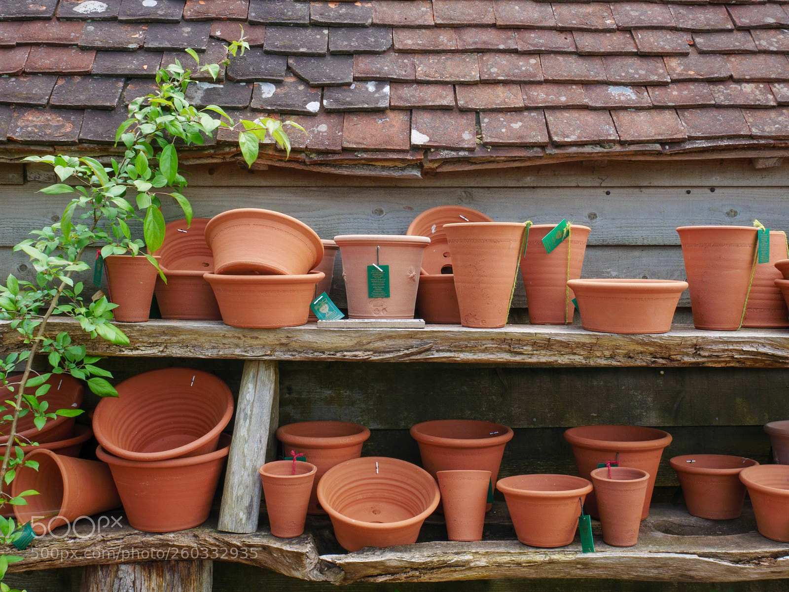 Panasonic Lumix DMC-GX85 (Lumix DMC-GX80 / Lumix DMC-GX7 Mark II) sample photo. Pots for sale photography