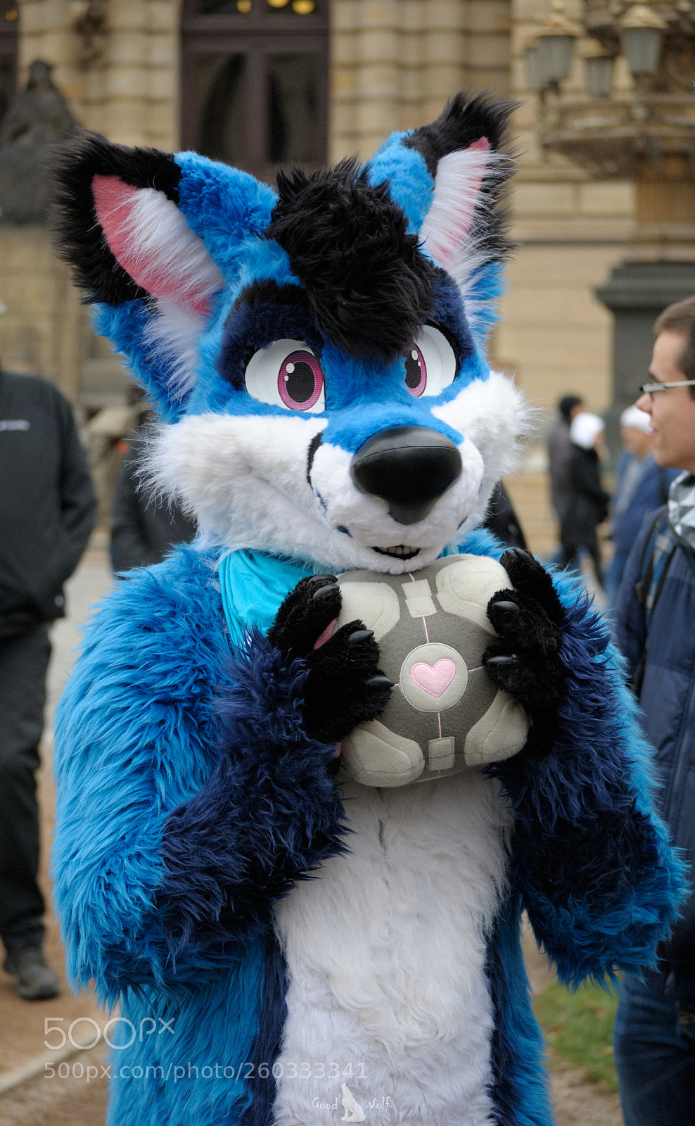 Nikon D3000 sample photo. Trying to be cute photography