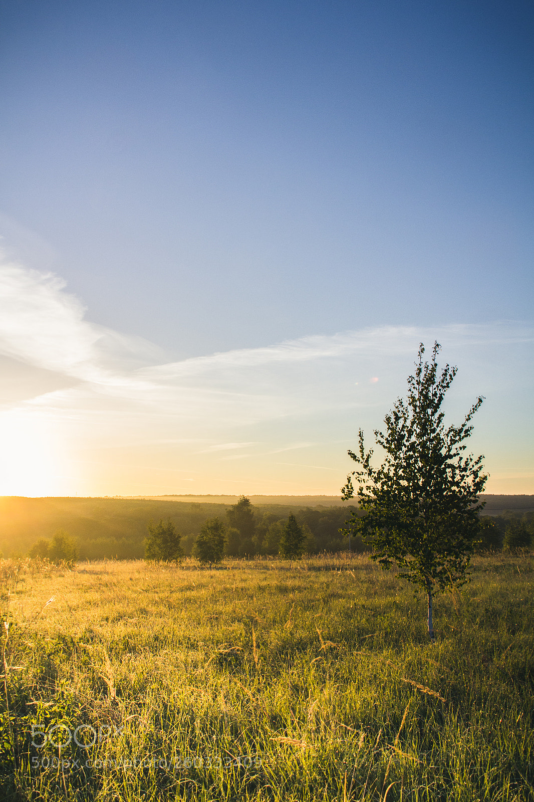 Canon EOS 60D sample photo. Sunrise field photography