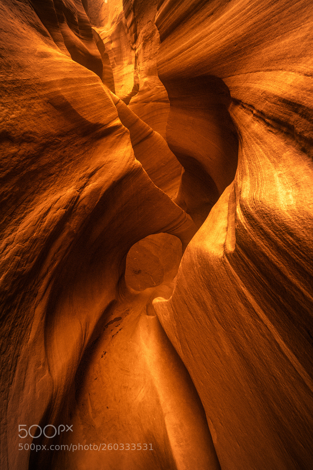 Nikon D850 sample photo. Escalante 2 photography