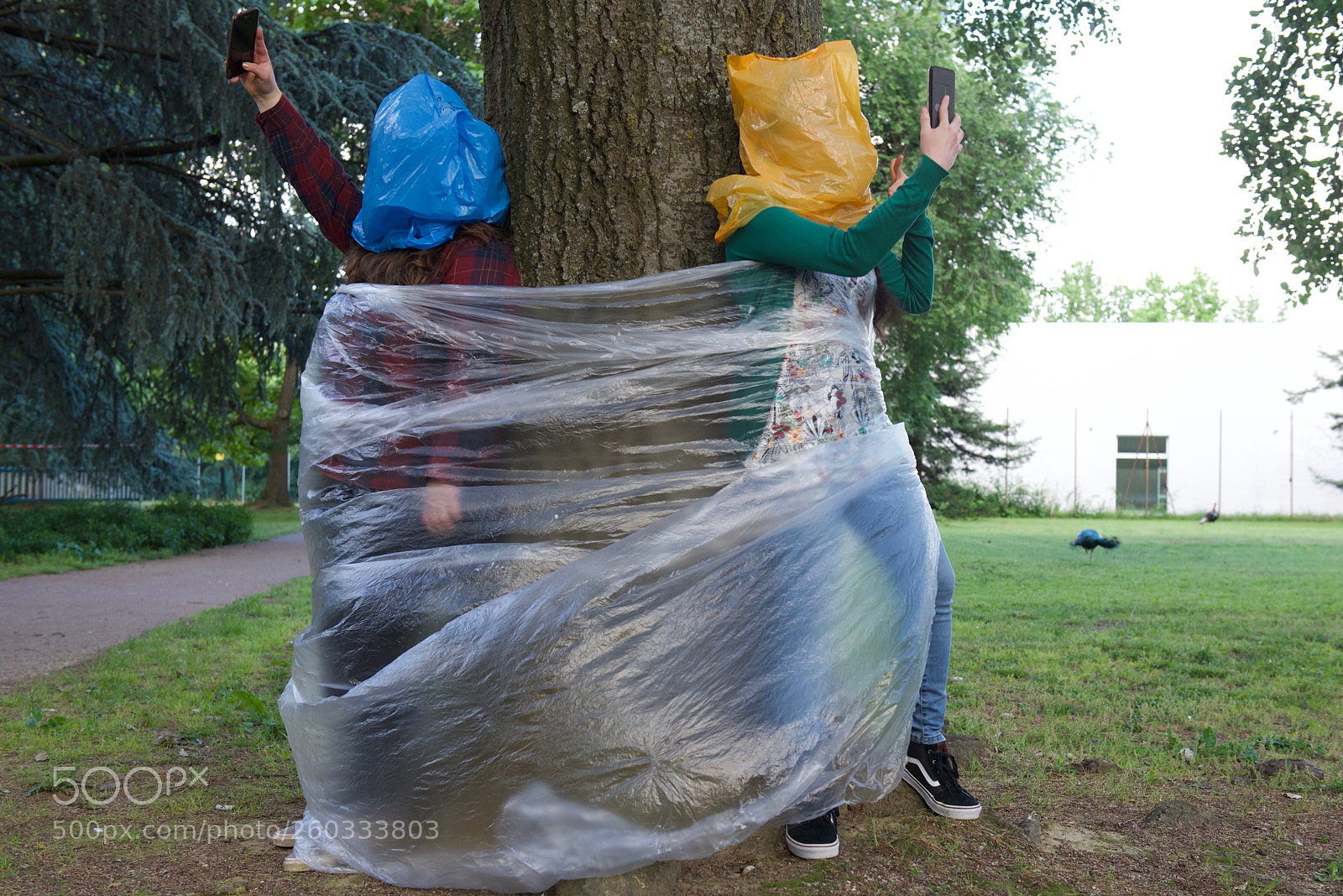 Nikon D750 sample photo. Progetto plastica parco con photography
