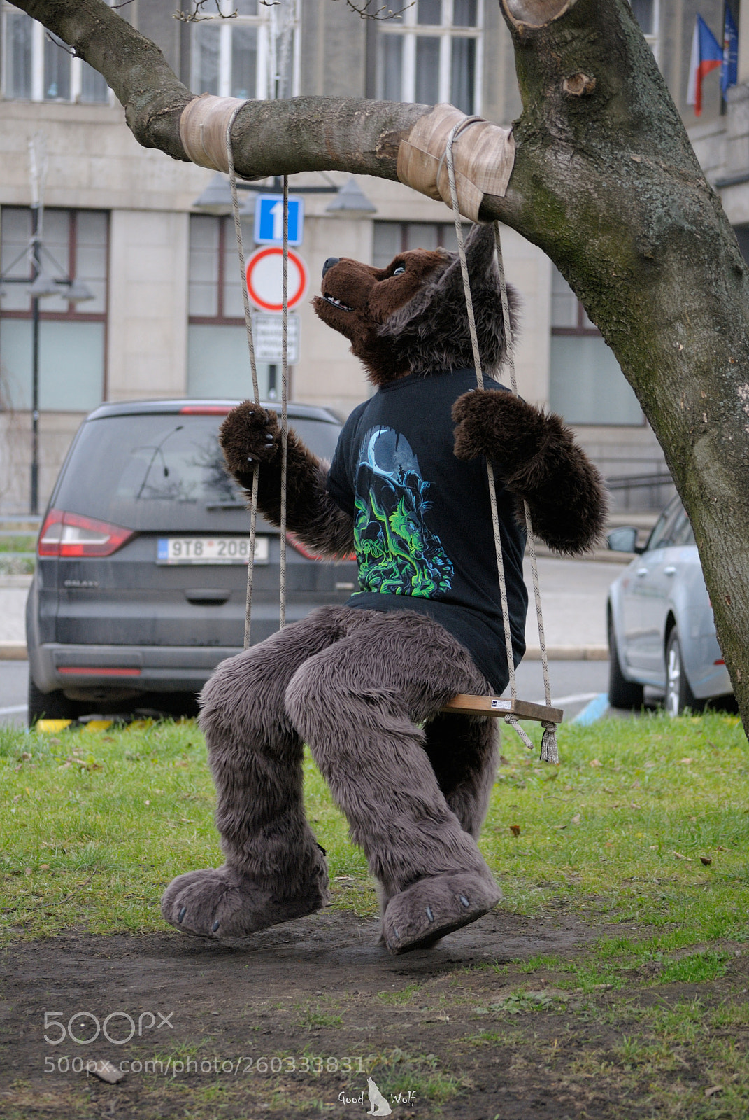 Nikon D3000 sample photo. Dog on a swing photography