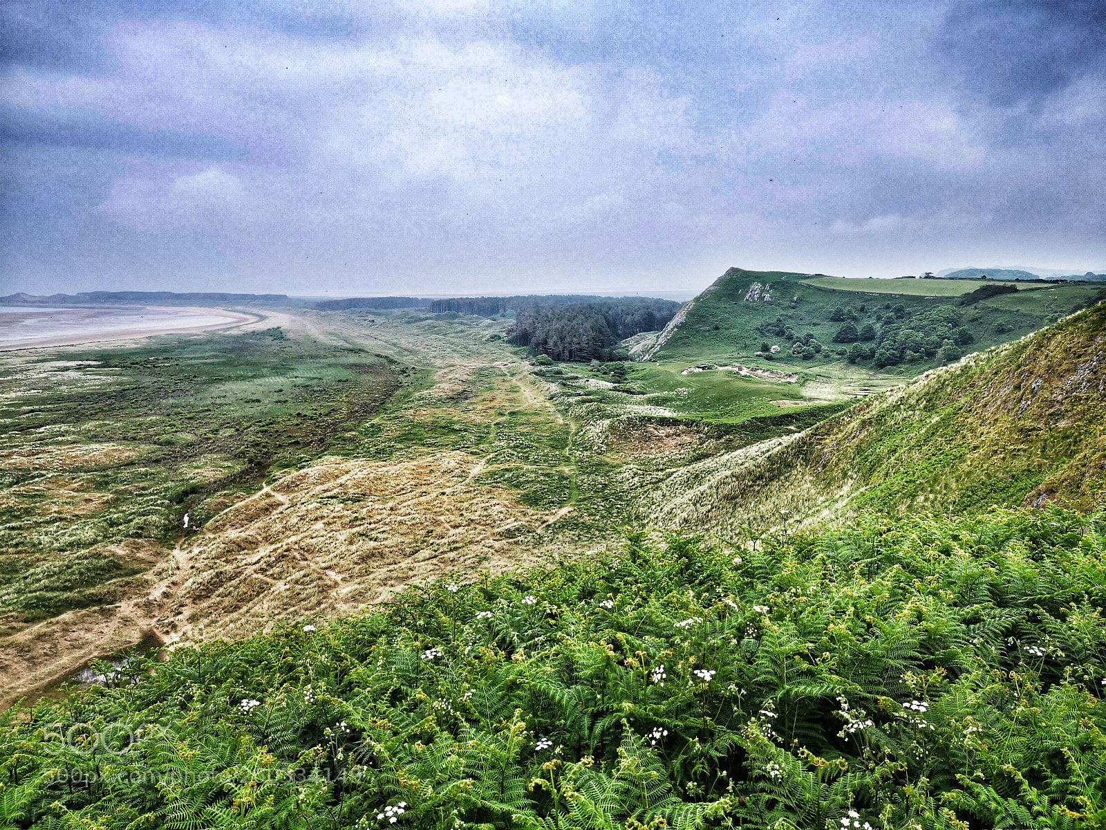 HUAWEI P20 sample photo. Cwm ivy tor photography