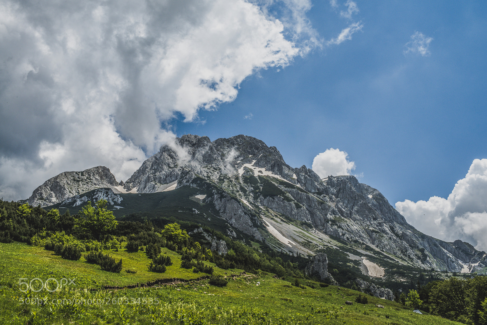 Nikon D800E sample photo. Montain maglić photography