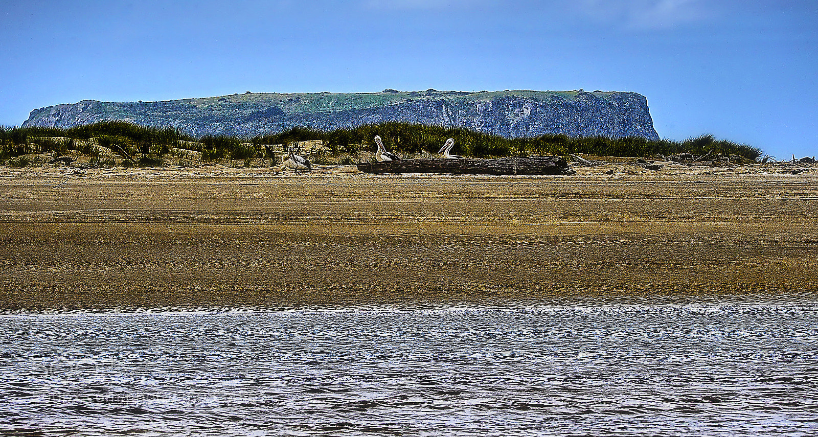 Nikon D700 sample photo. The rock photography