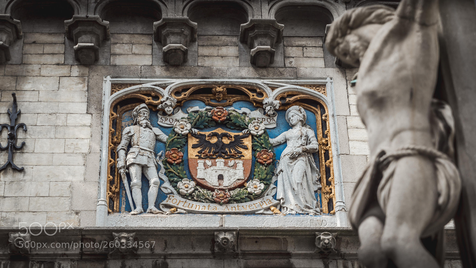 Sony a7R sample photo. Fortunata antverpia photography