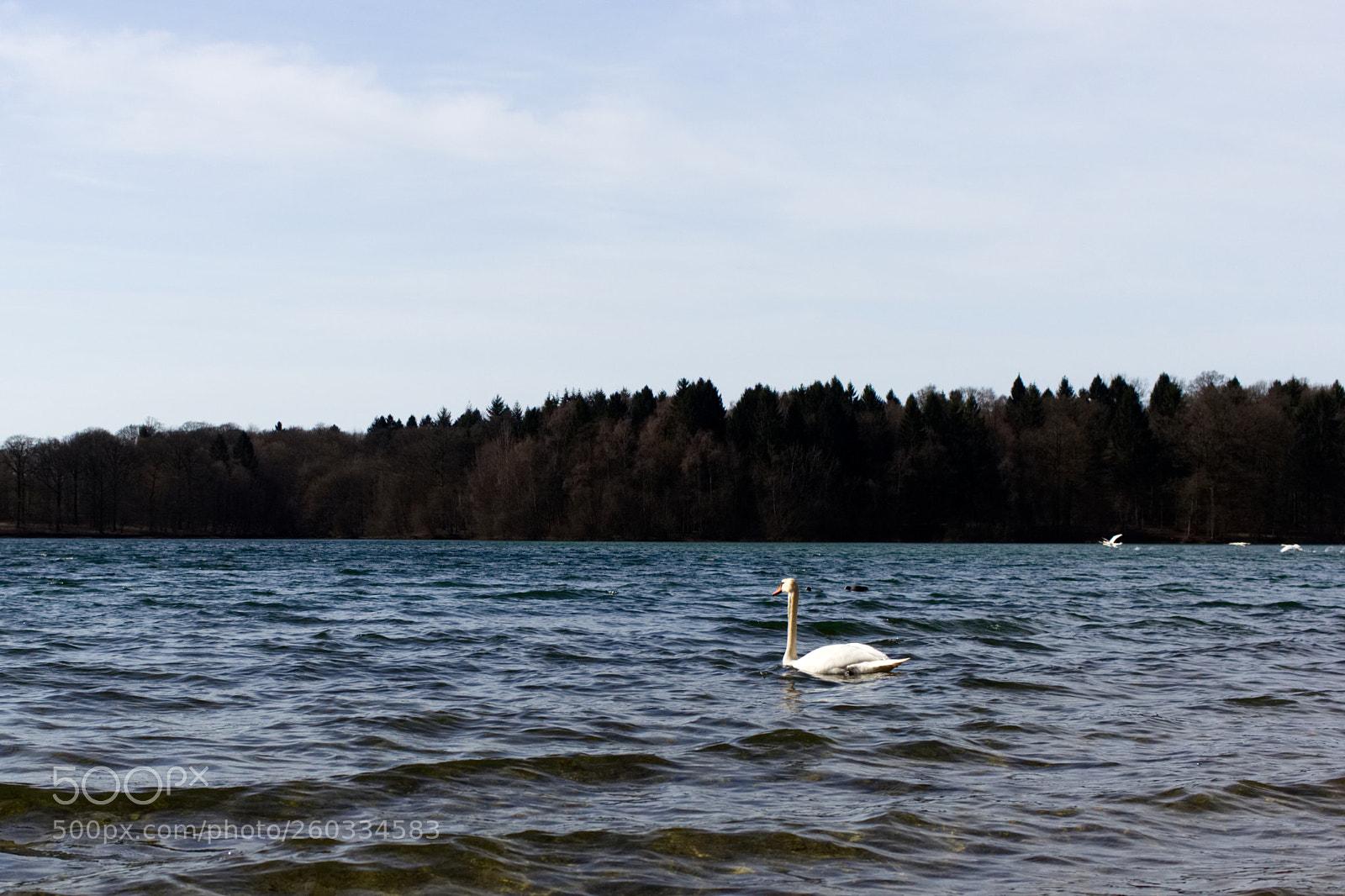 Canon EOS 600D (Rebel EOS T3i / EOS Kiss X5) sample photo. Img photography